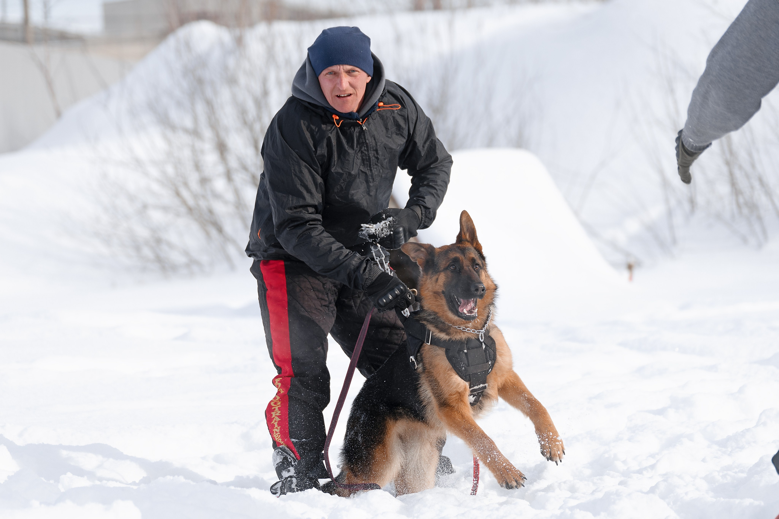 Репортажная съемка. Фотограф-анималист Нижний Новгород