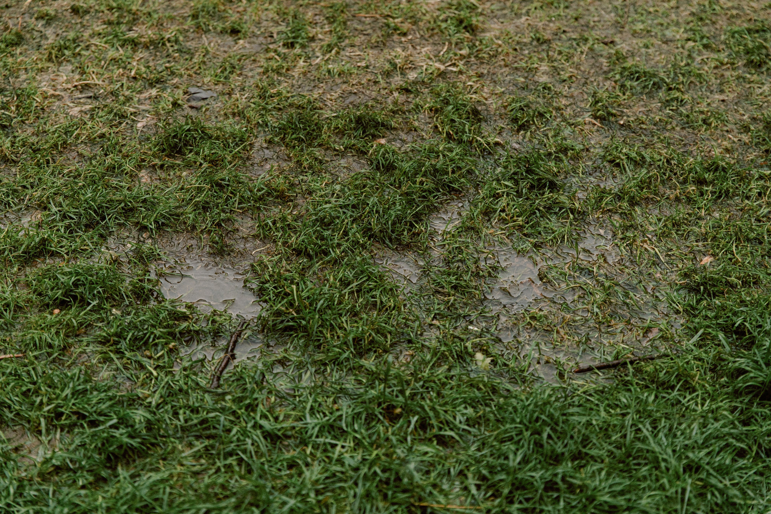 FUN&SUN ДАЧА. Свадебный и репортажный фотограф