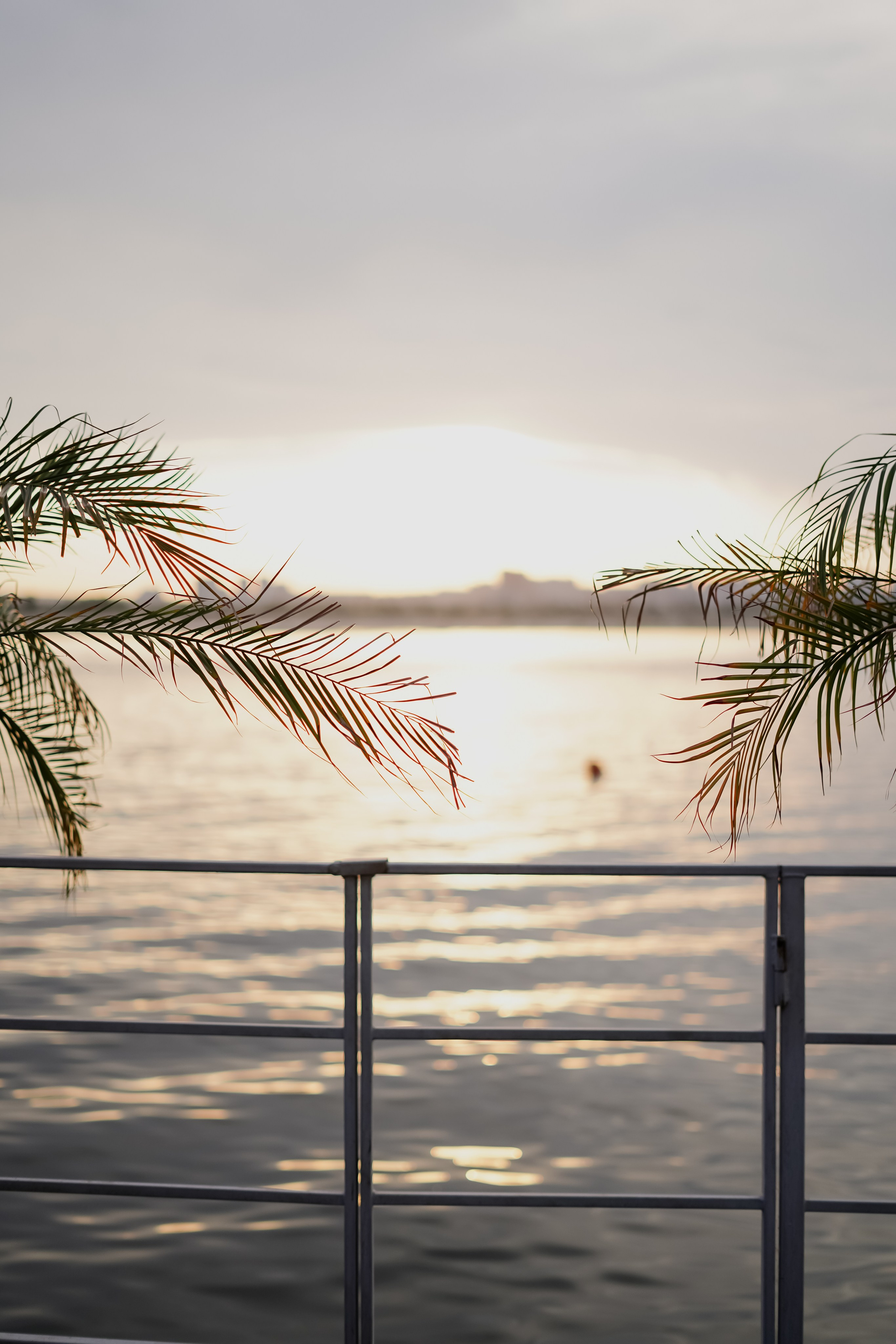 Surf. Фотограф Валерия Крахмалева