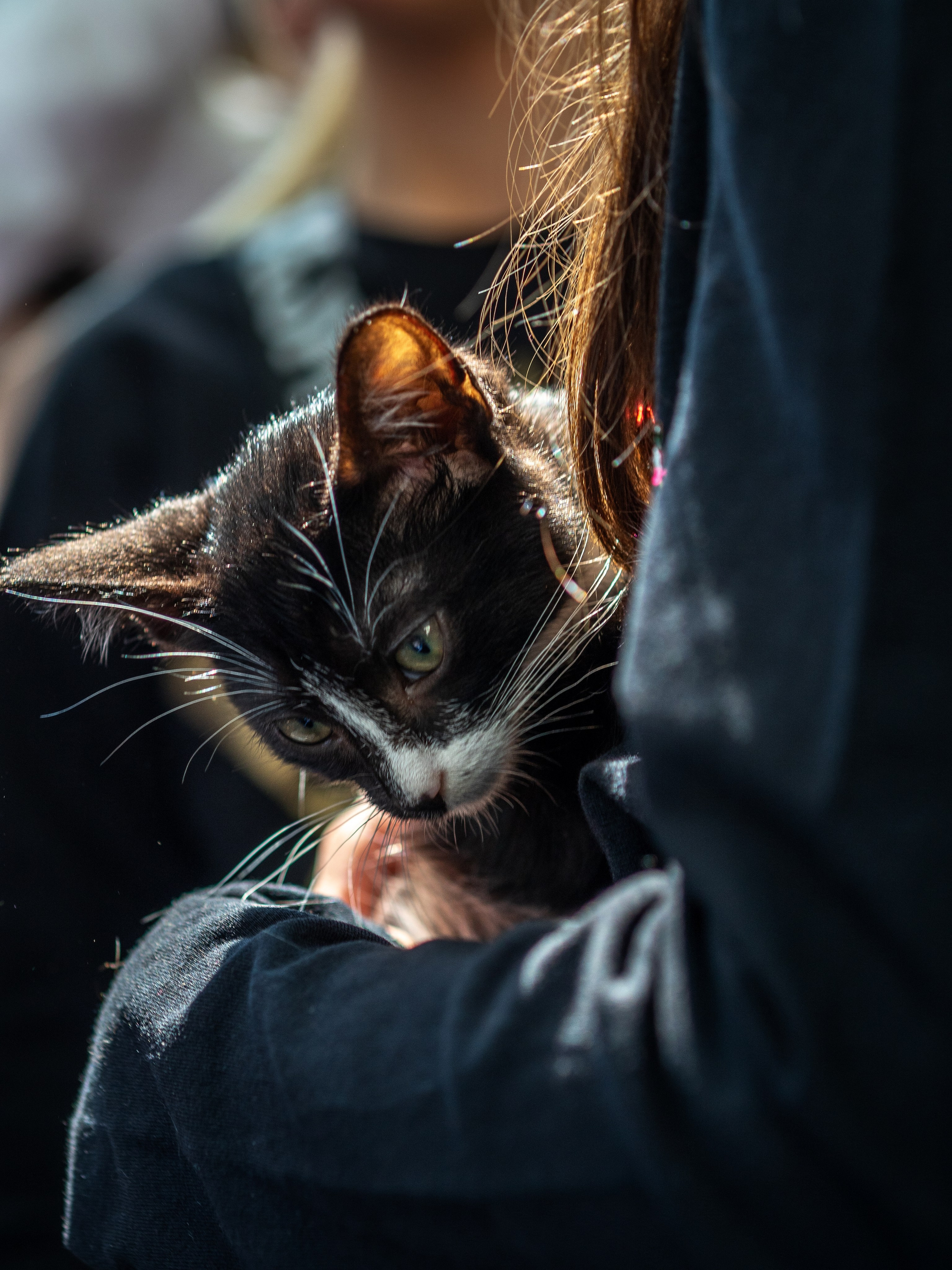 Анималистика. Сайт портфолио двух профессиональных фотографов