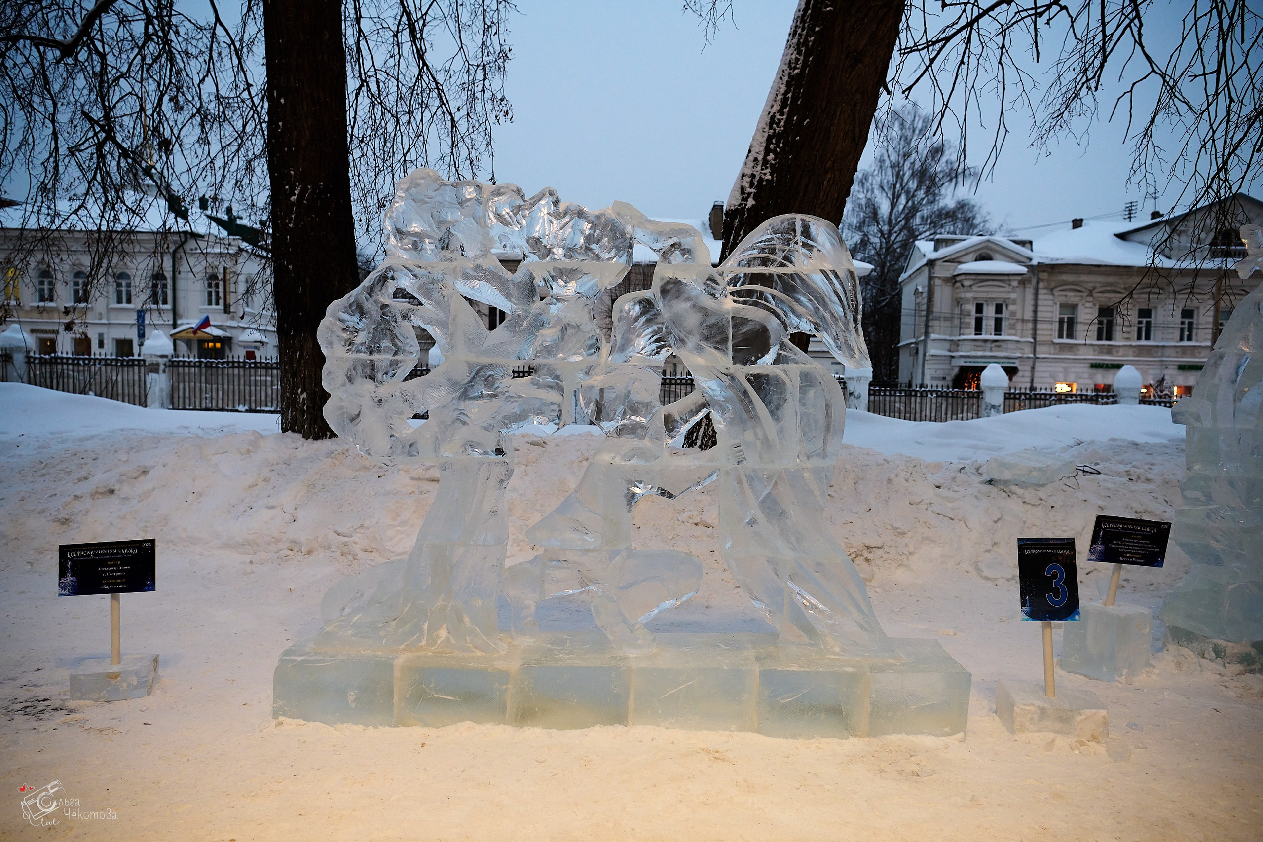 Кострома — зимняя сказка. Ольга Чёкотова (Фотограф Кострома)