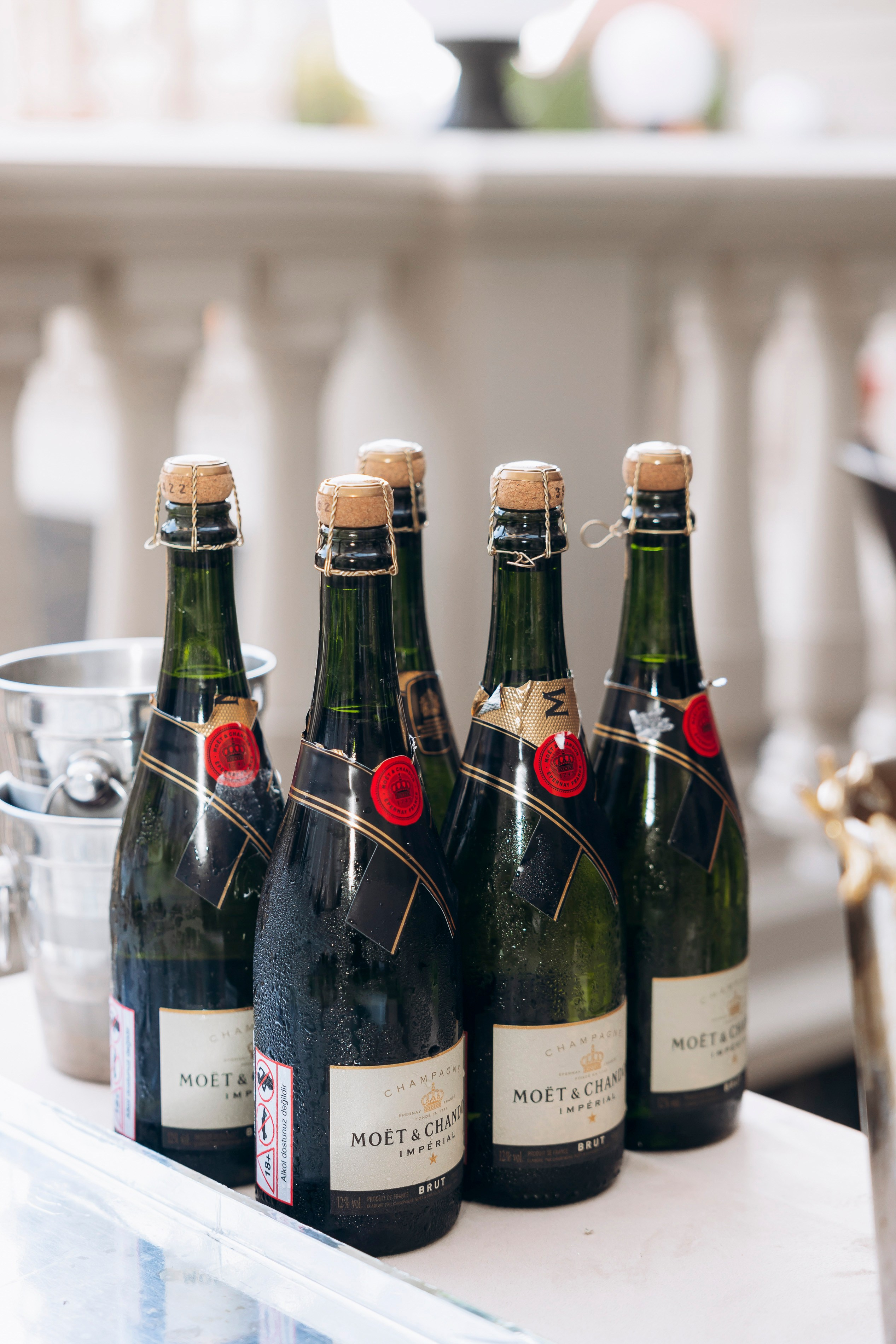 Открытие отеля Royal Lions Grand Hotel 15 сентября 2024. Фотограф в Калининграде свадебная фотография, репортажная, фотосессии