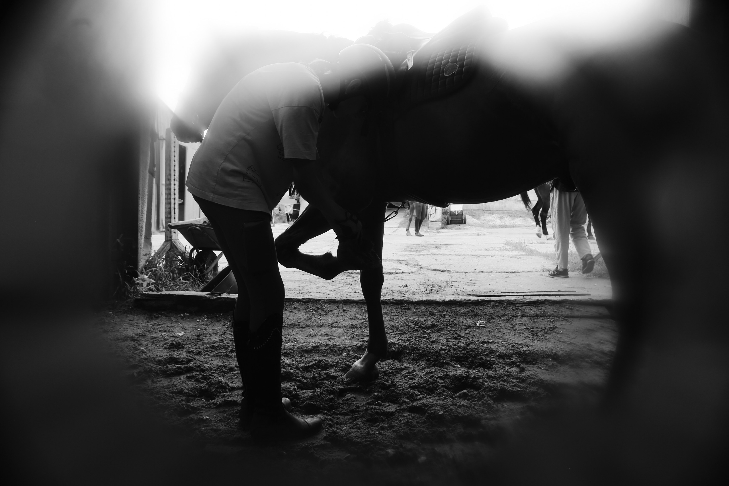 In a horse club NIMB. Фотограф Антонина Гудкова