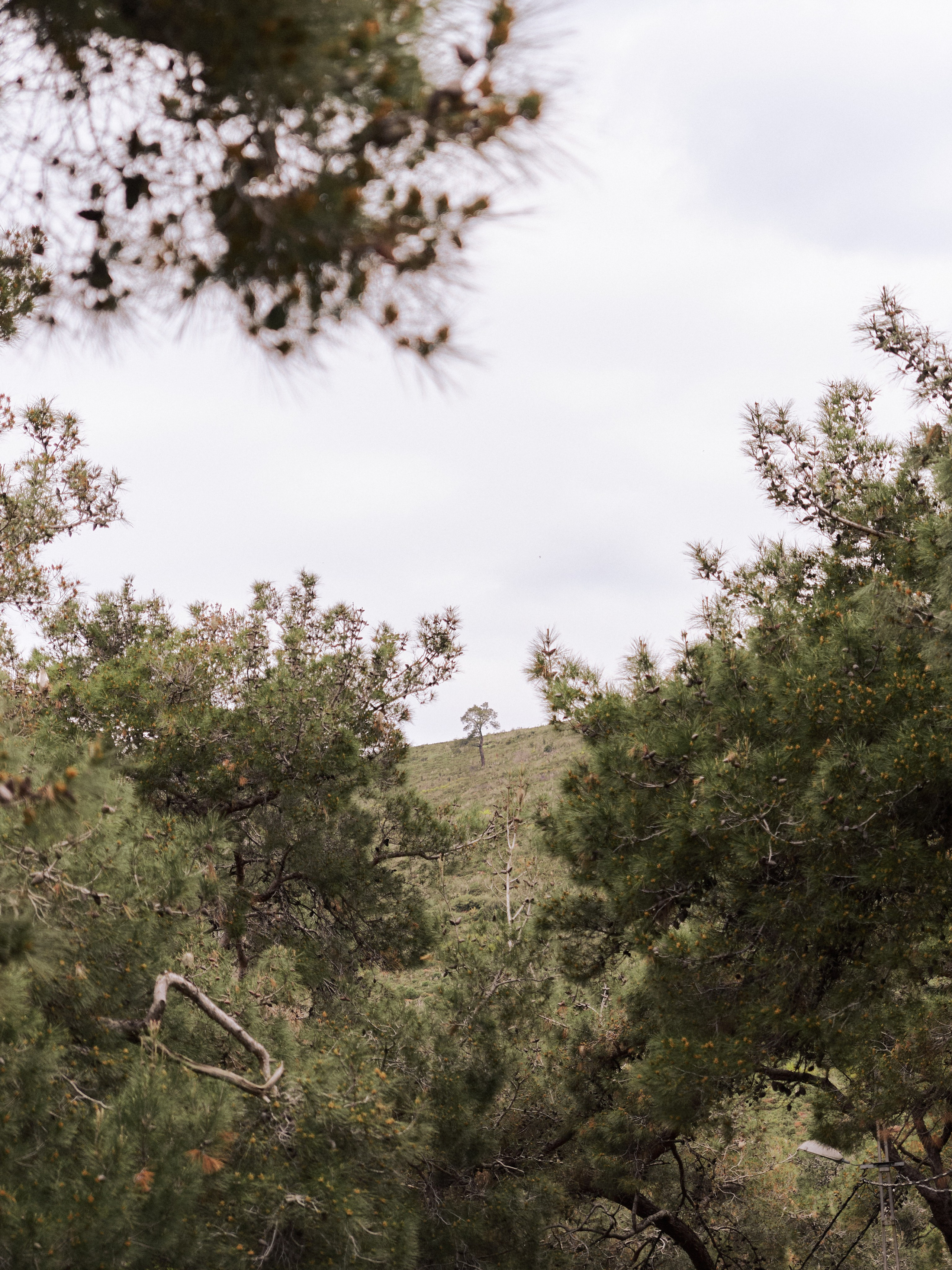 Диптих. Jorgis — фотограф в Хургаде / обучение фотографии