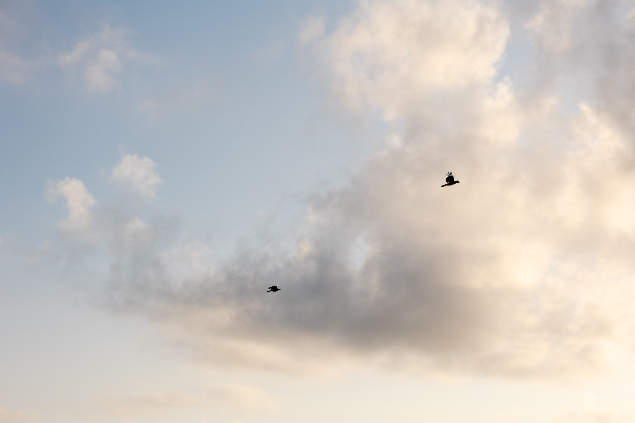 Свадьба Артёма и Юли в отеле Luciano Foros в Крыму. Свадебный фотограф, фотосъемка в Крыму, Севастополе, Симферополе, Ялте