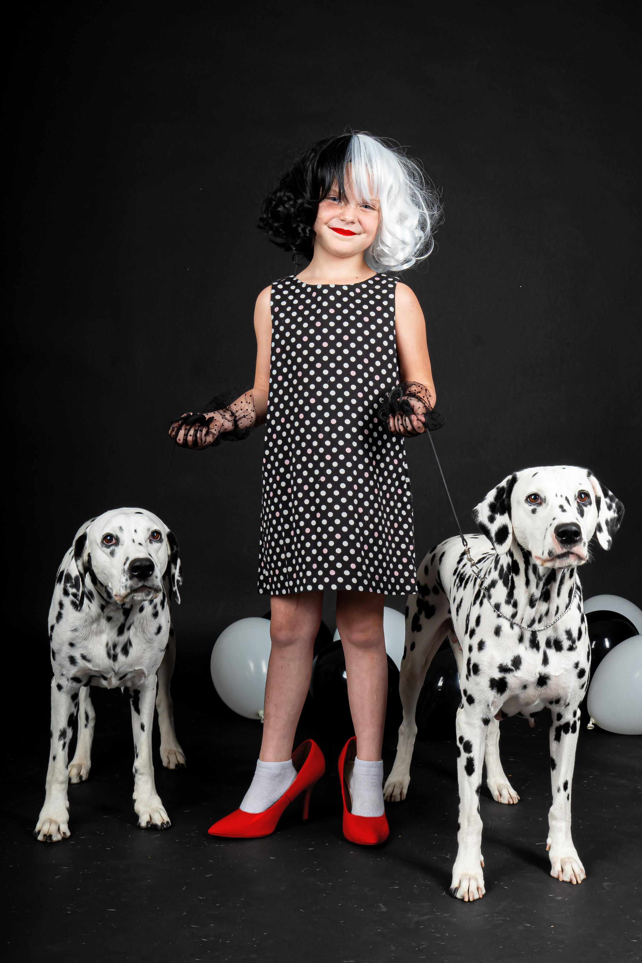 Далматины 2024. Фотограф на Камчатке Анна Моргачёва. Семейные и детские съёмки