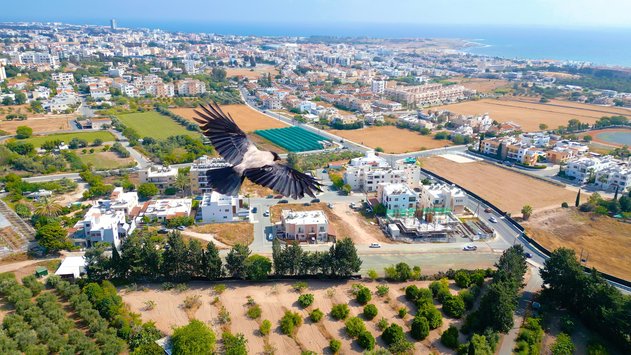 Аэросъемка. Видеограф Добромыслов