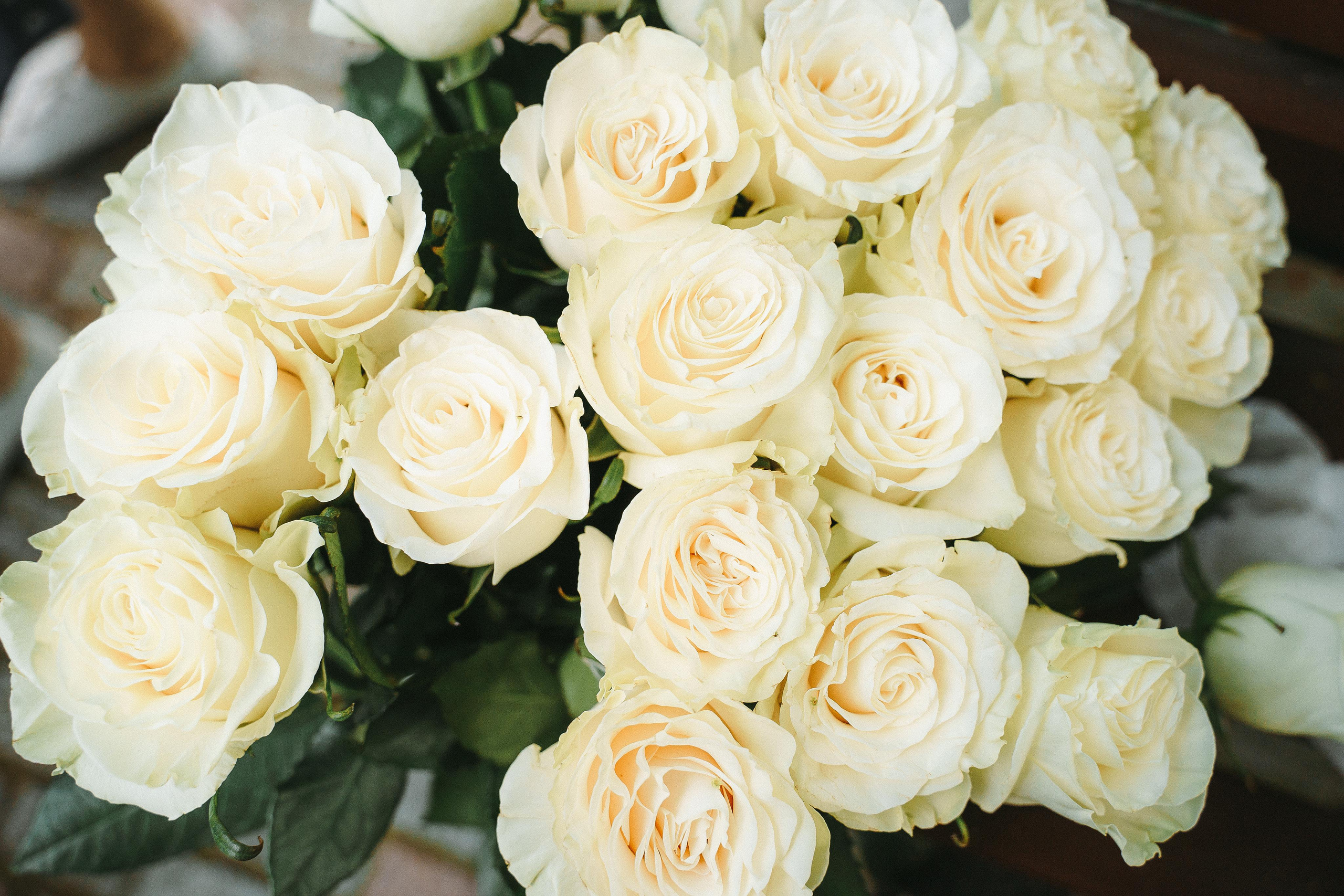 Фотограф на день рождения в загородный дом