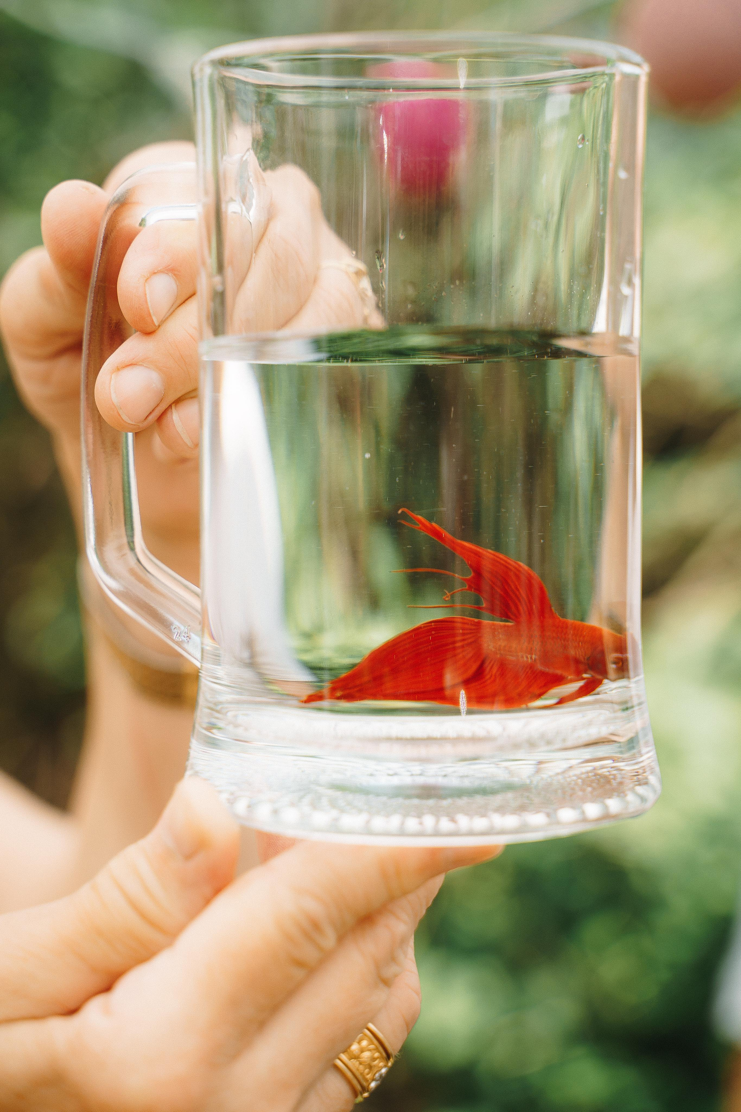 Фотограф на день рождения в загородный дом