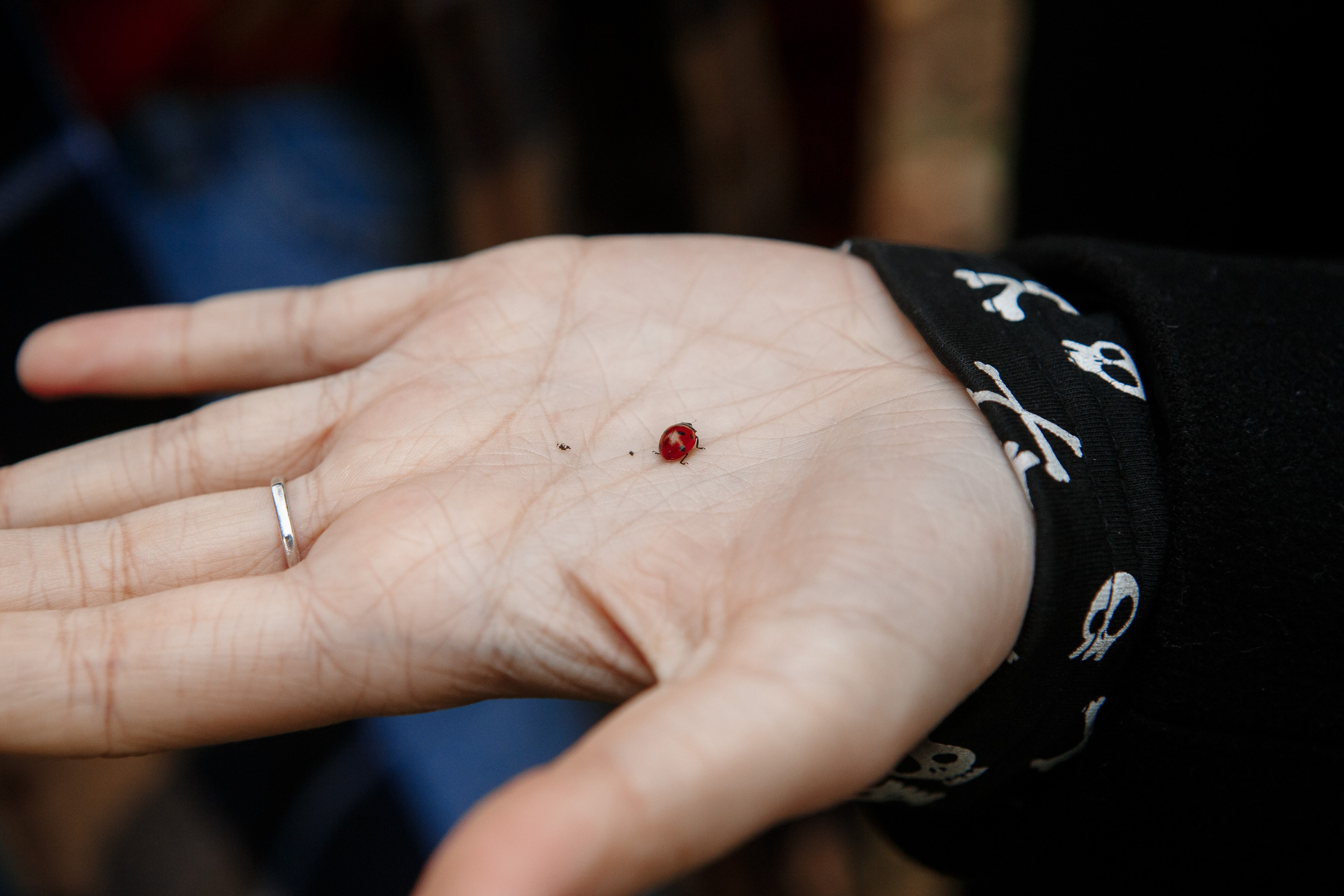 Осень Гимназия 12 11 А 2023. Свадебный и портретный Фотограф в Липецке Дмитрий Котюков