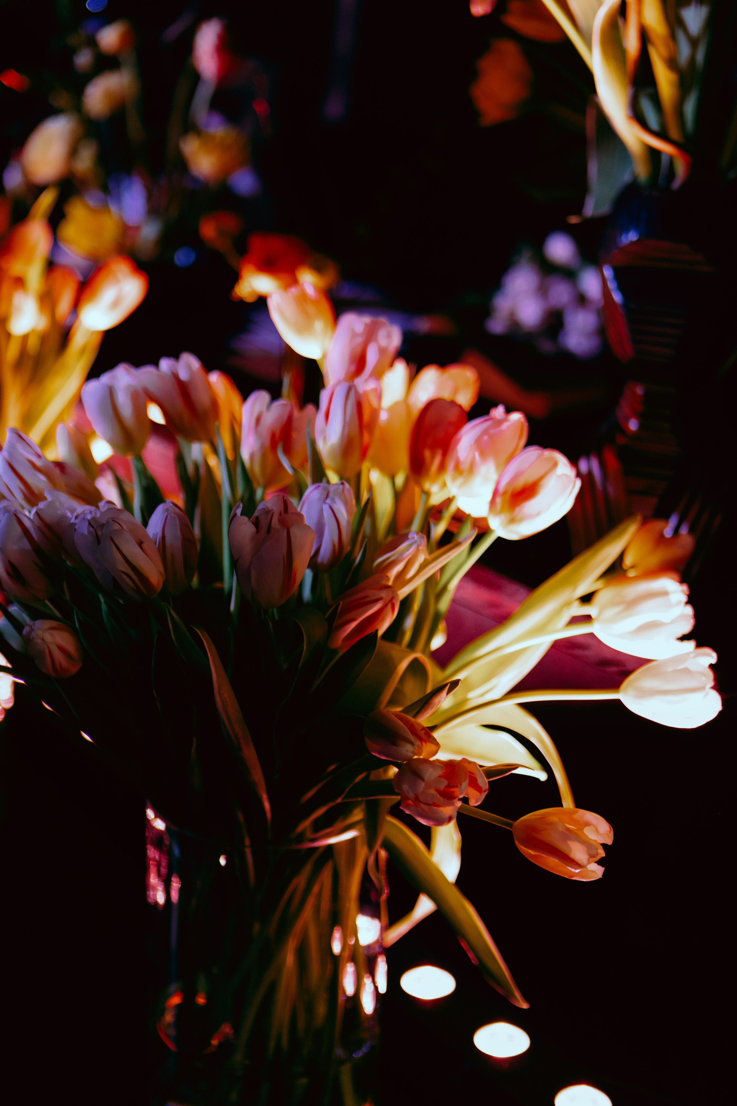 AUXI Noise 24. Fashion Фотограф в СПб Yana Kochkina