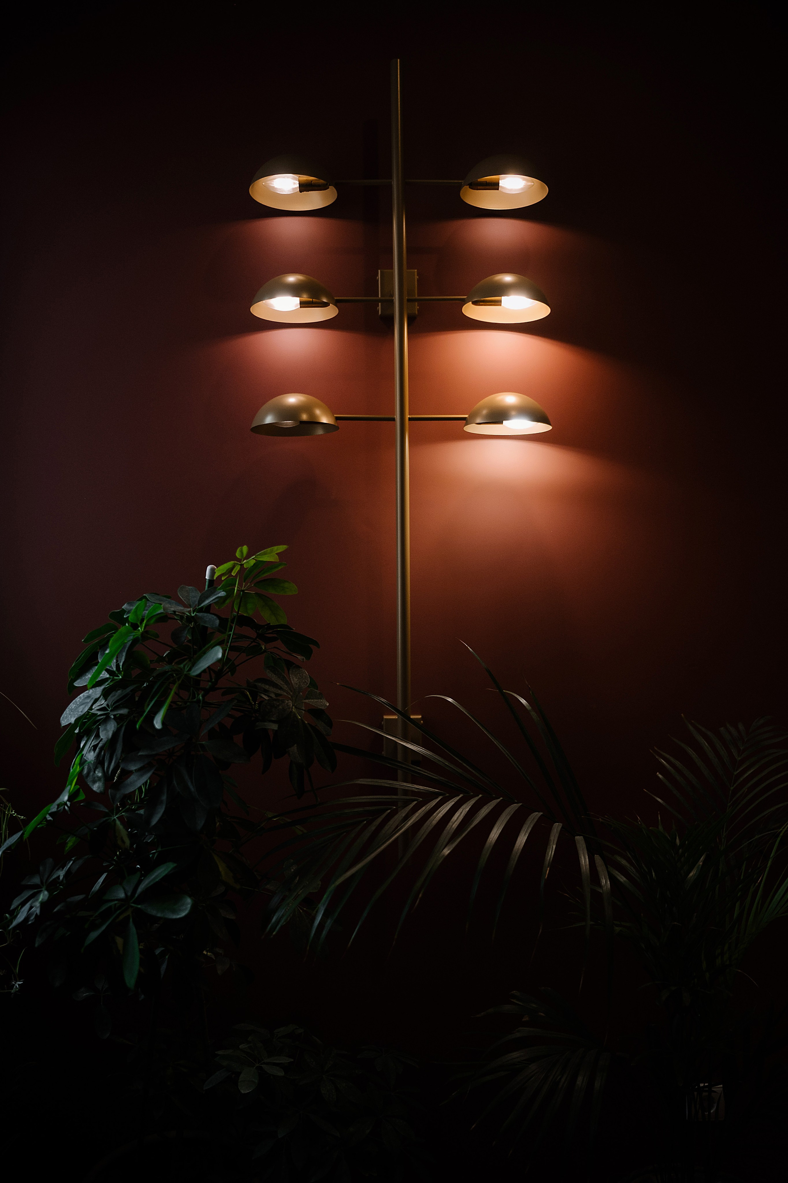 Путь любви. Семейный и свадебный фотограф в Туле Москве