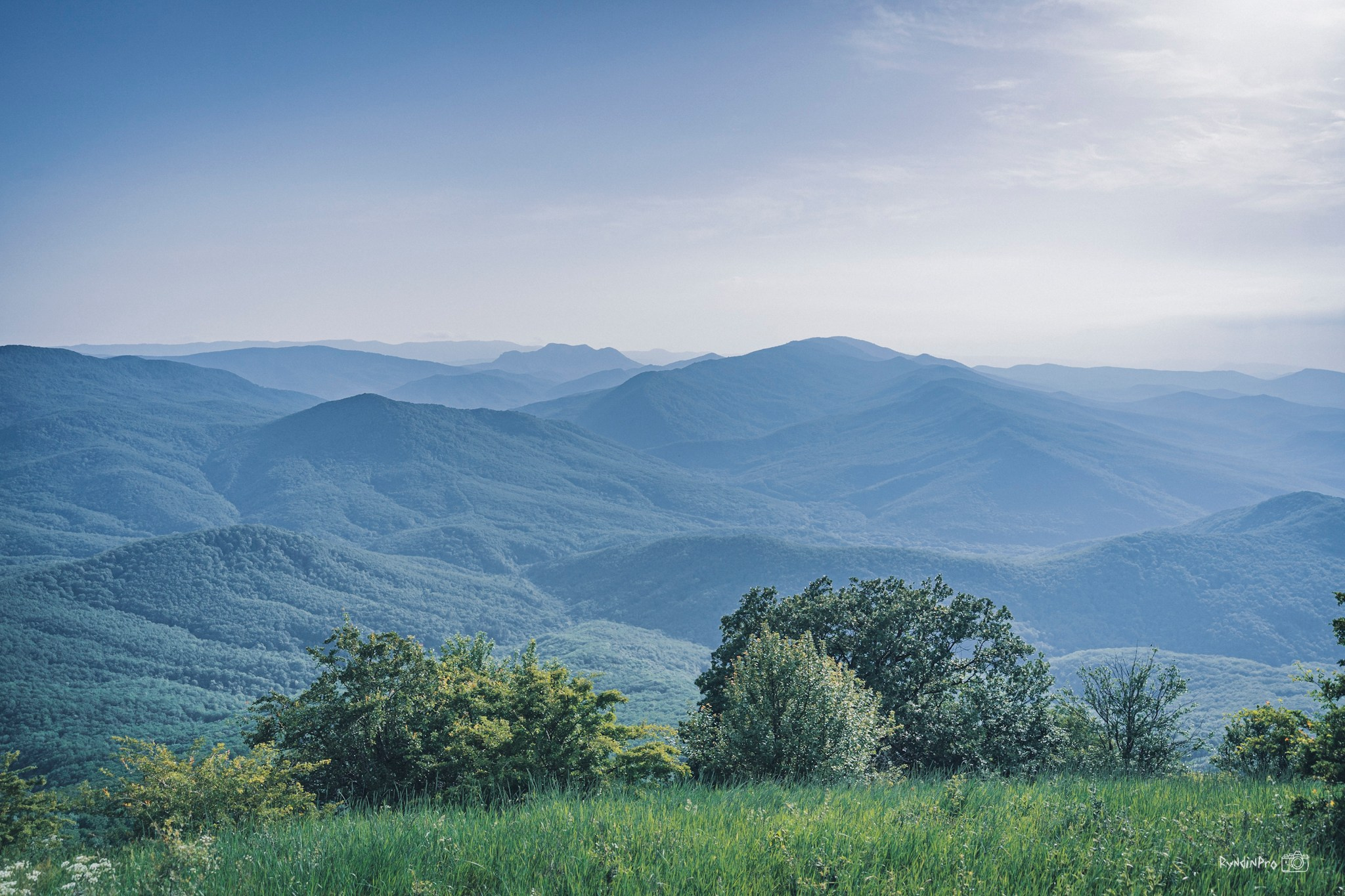 Обучающий кэмп на Собере 06.06.24 Коваль. Репортажный фотограф в Краснодаре Рындин Дмитрий