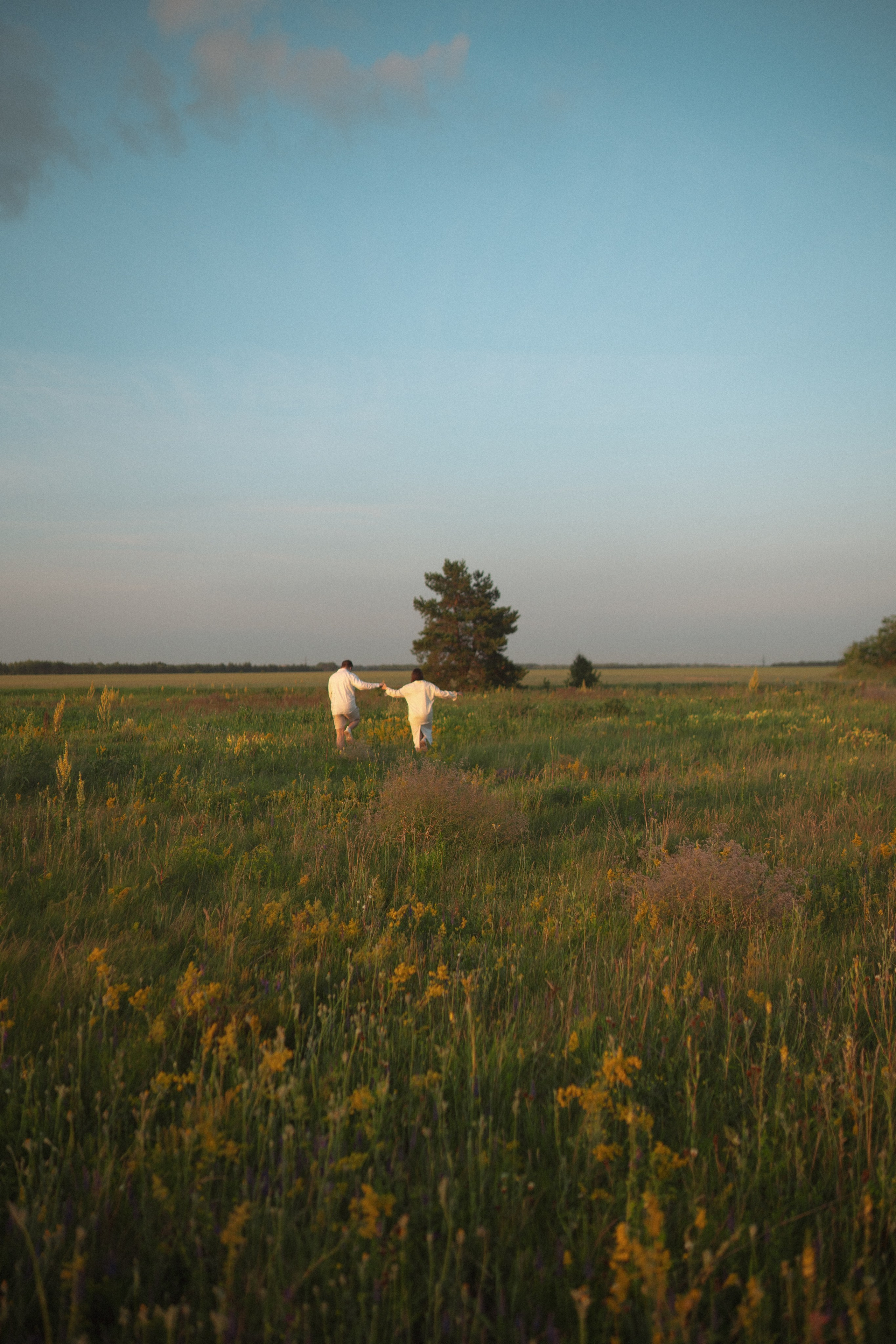 Поле. Фотограф Мария Зайчик
