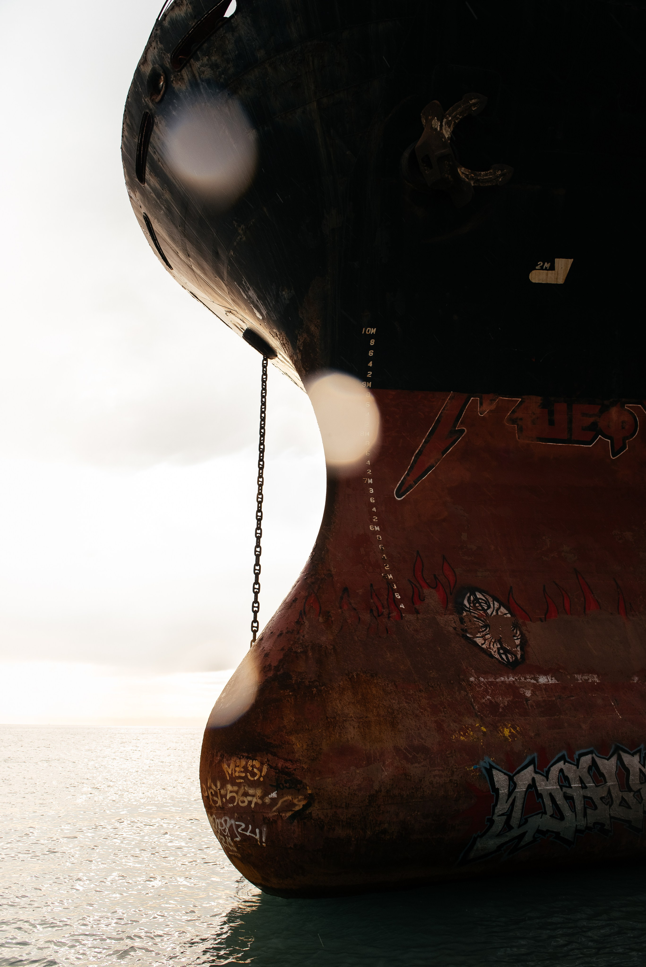 Рио. Портретный и семейный фотограф в Геленджике Таня Ходова