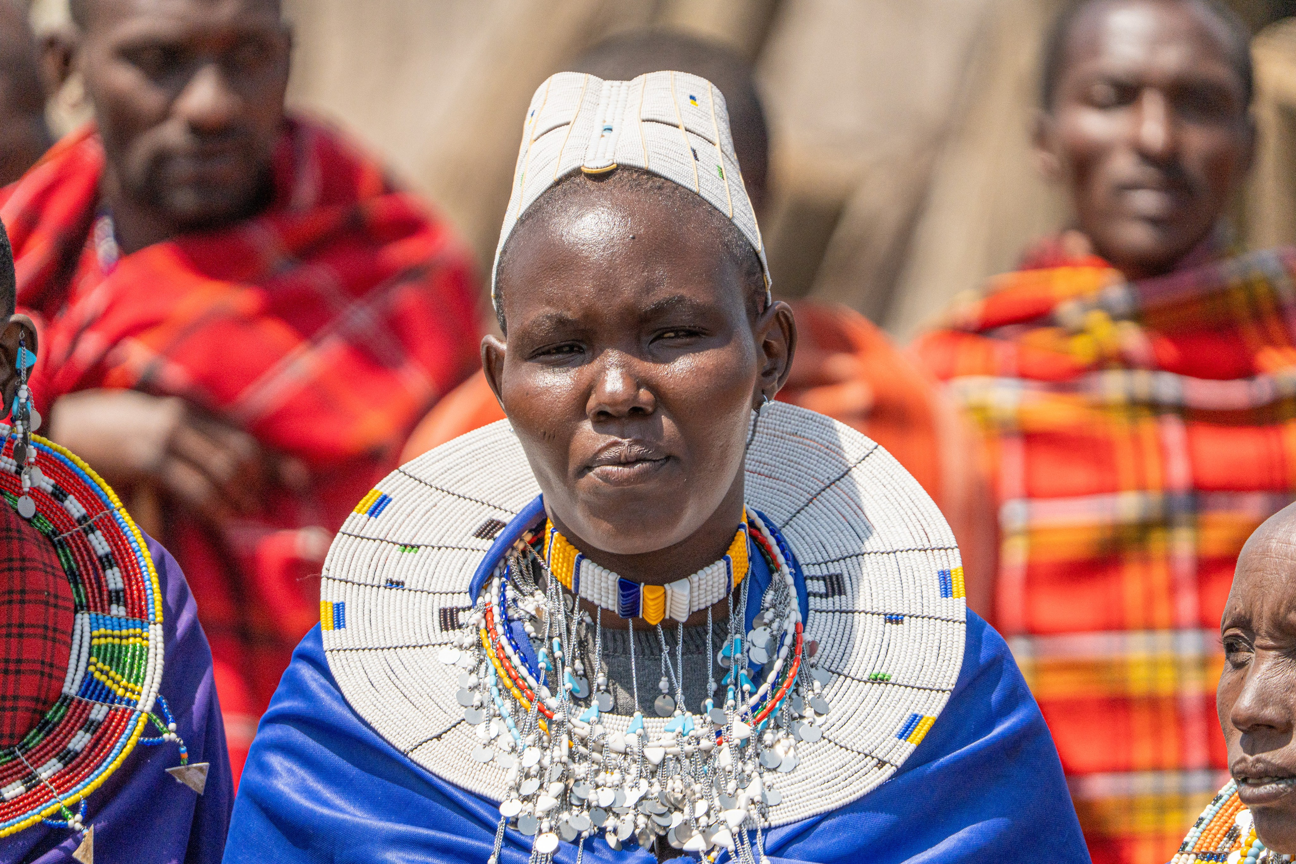 Танзания, сафари, 2025. Творческие сьемки