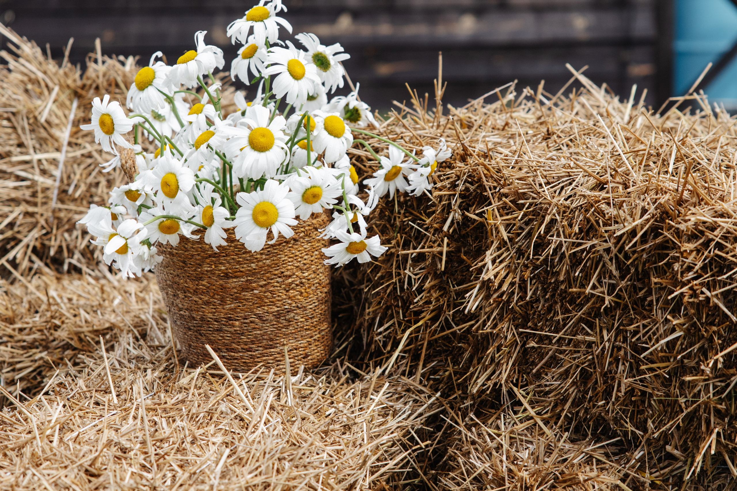 ГЕНДЕР ПАТИ. Фотограф в Красноярске