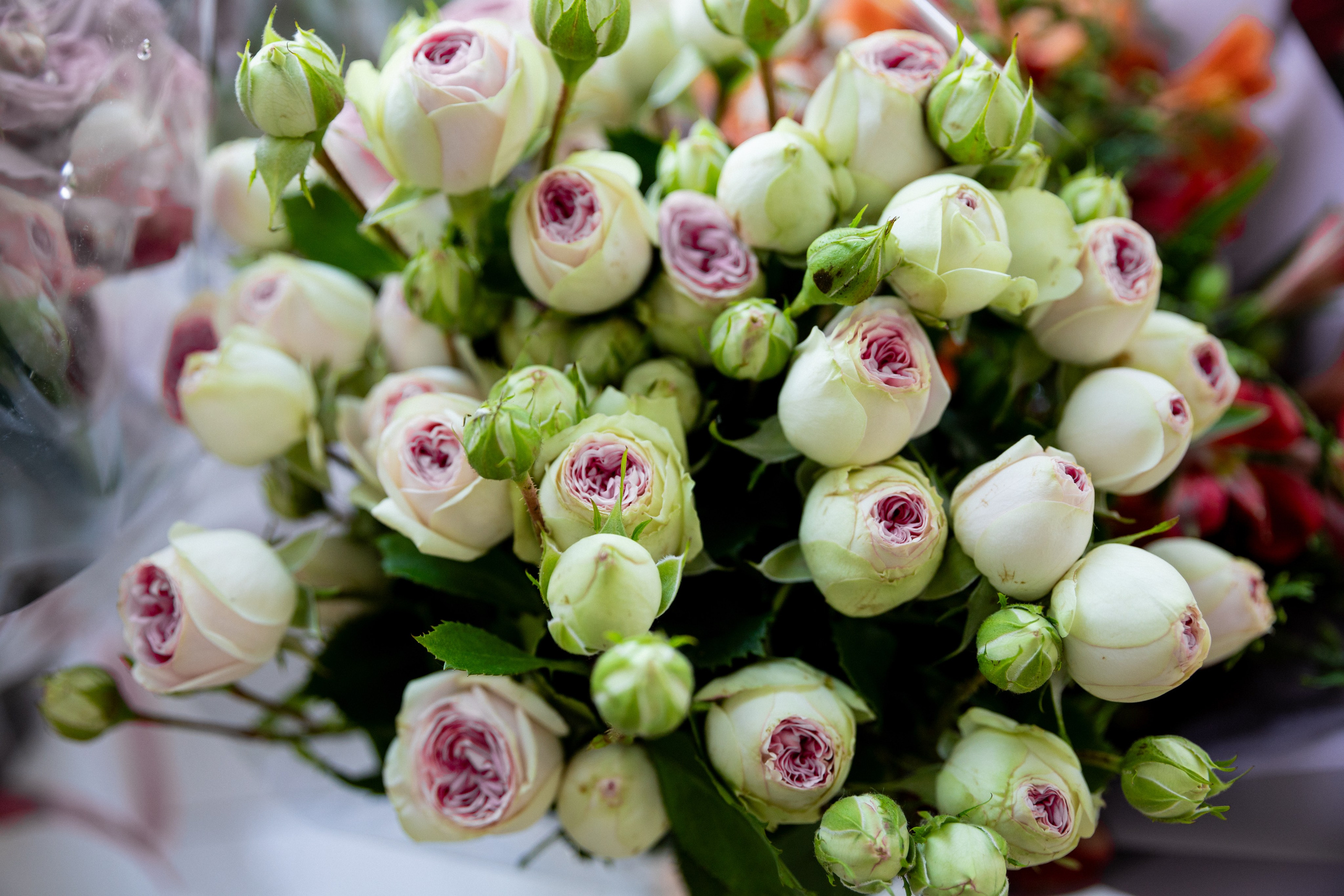 Банкет/Ресторан. Свадебный и семейный фотограф в Оренбурге Тасжан Аккелбеков