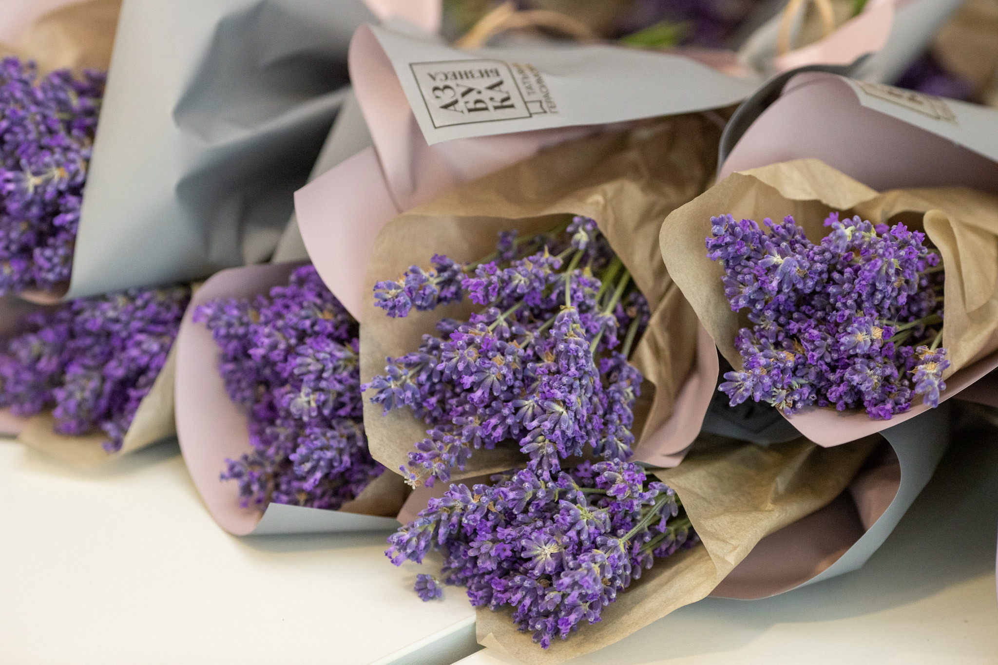 Герасимова мероприятие. Профессиональный фотограф Анастасия Кохно