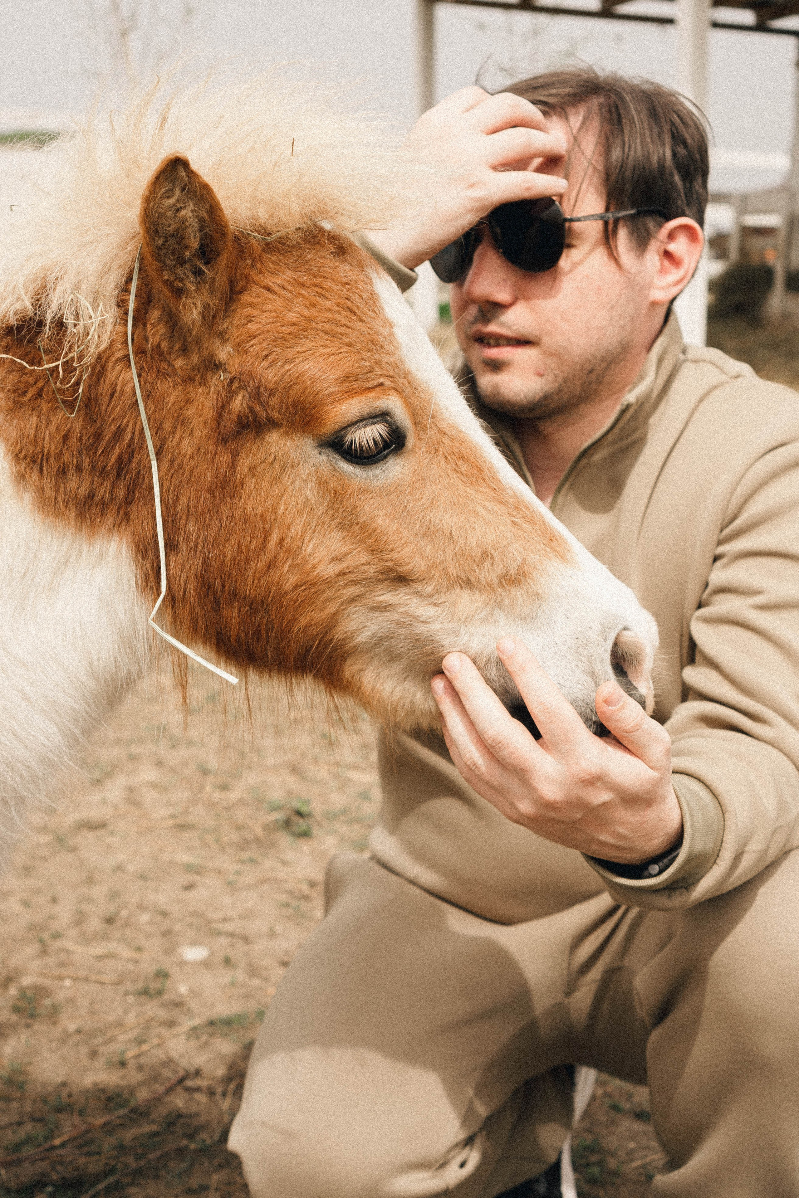 Ферма Альпак. Профессиональный фотограф, Санкт-Петербург — Виктория Богомолова