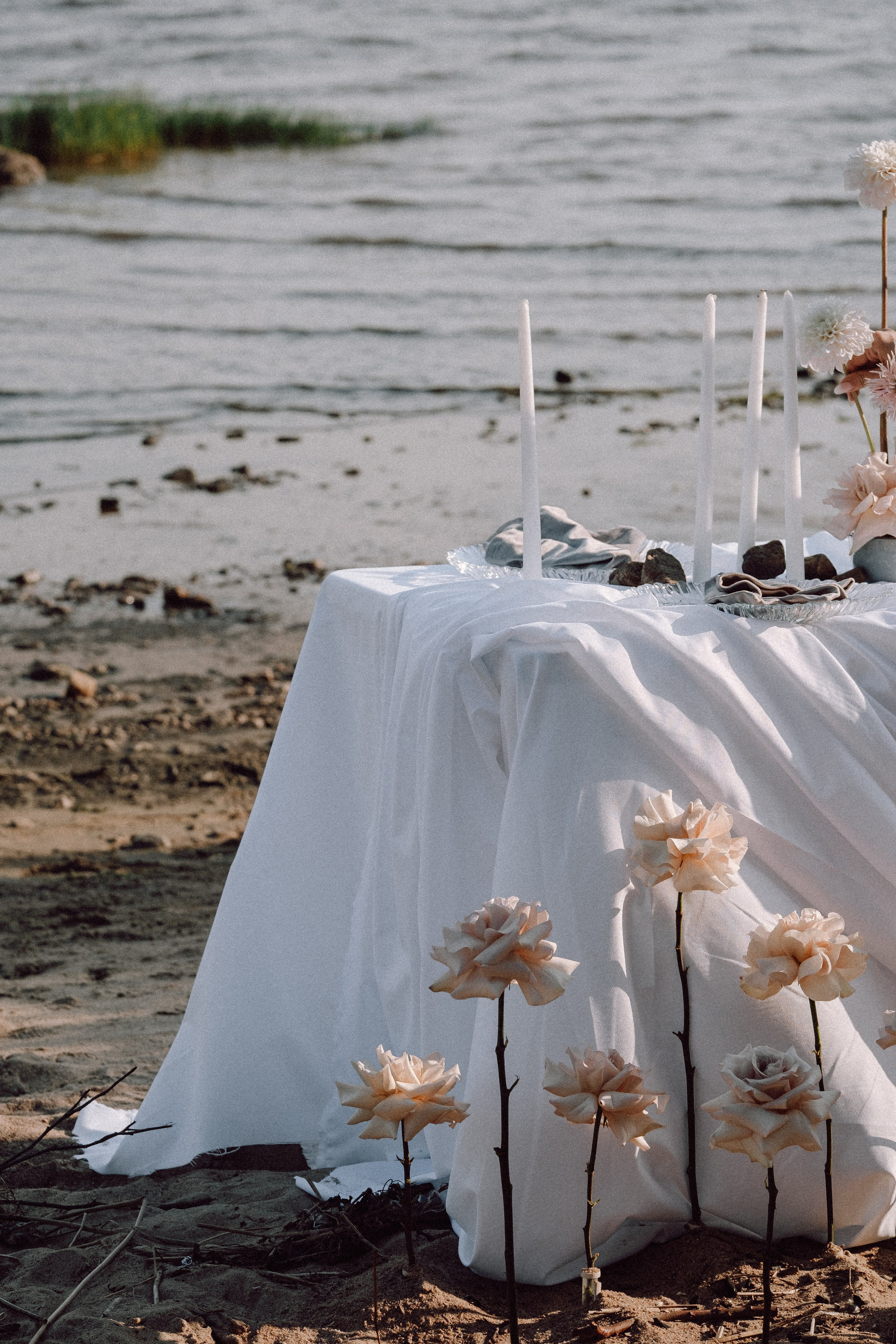 СВАДЕБНАЯ ФОТОСЕССИЯ ВЫЕЗДНОЙ ЦЕРЕМОНИИ (ФИНСКИЙ ЗАЛИВ). Профессиональный фотограф, Санкт-Петербург — Виктория Богомолова