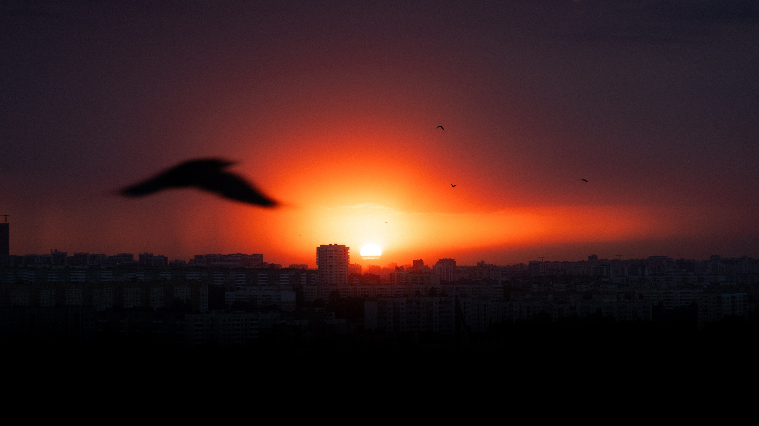Пейзажная фотография — Вдохновение дикой природой | Максим Ремизевич. Maxim Remizevich | Photographer