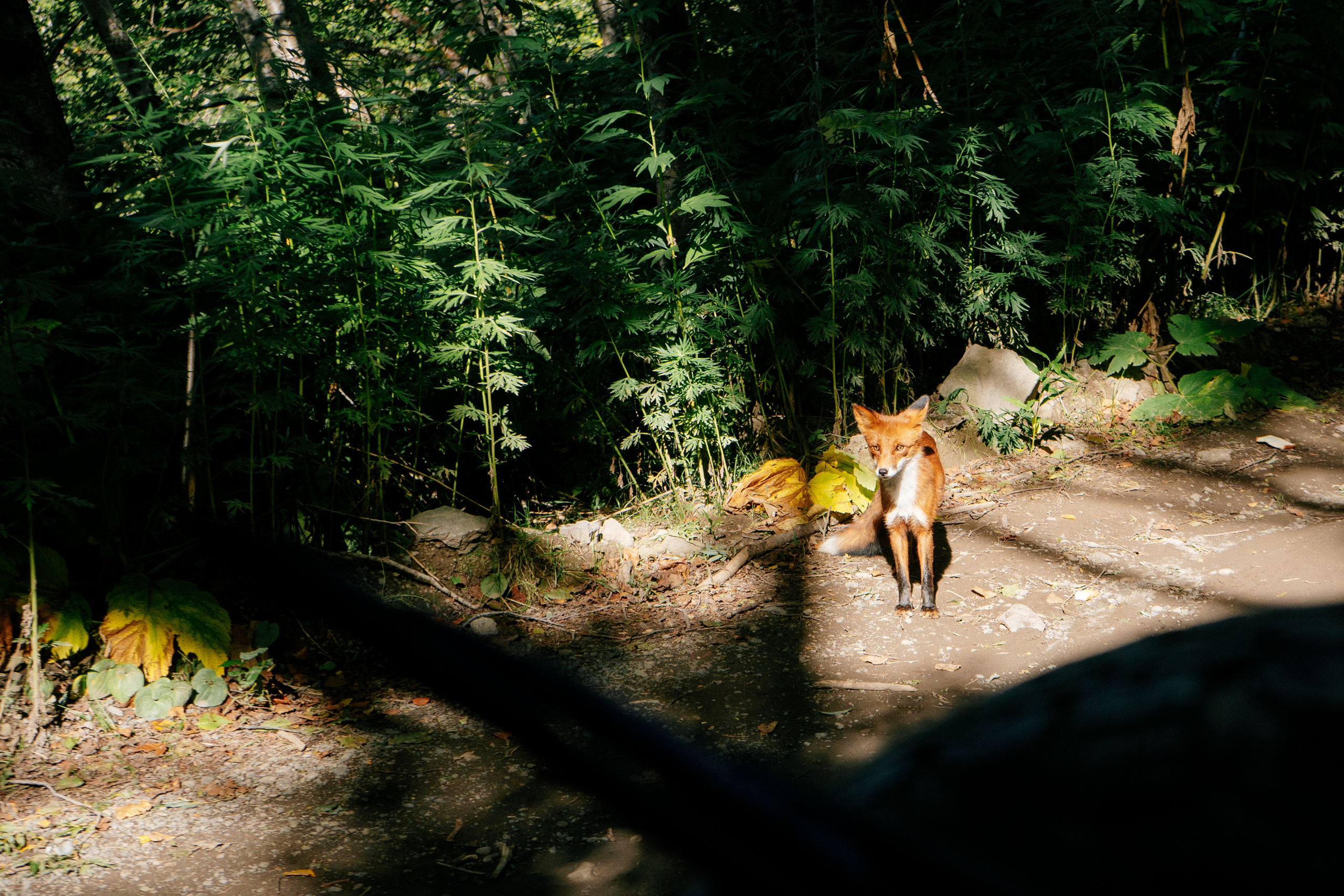 Камчатка. Коммерческий фотограф в Иркутске Стас Ларёв