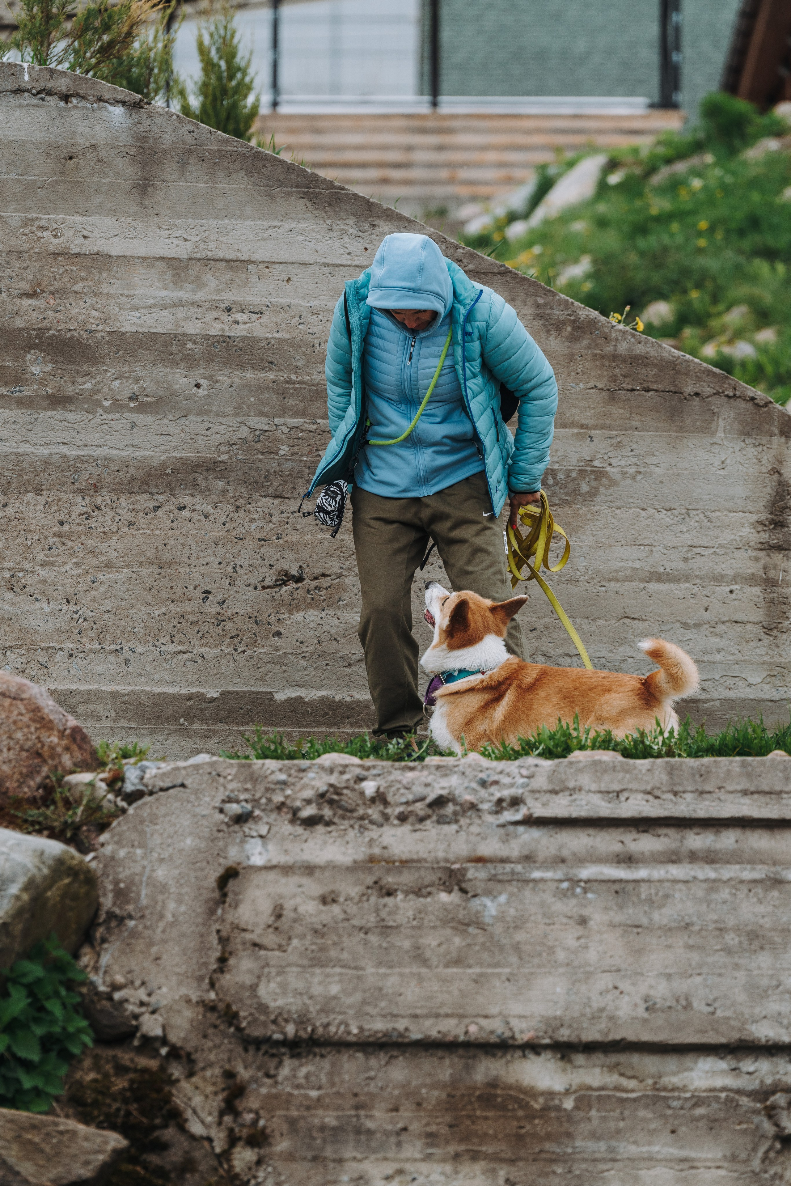 Соревнования по ноузворку в Лосево. Фотограф анималист в Спб недорого Олеся Майорова