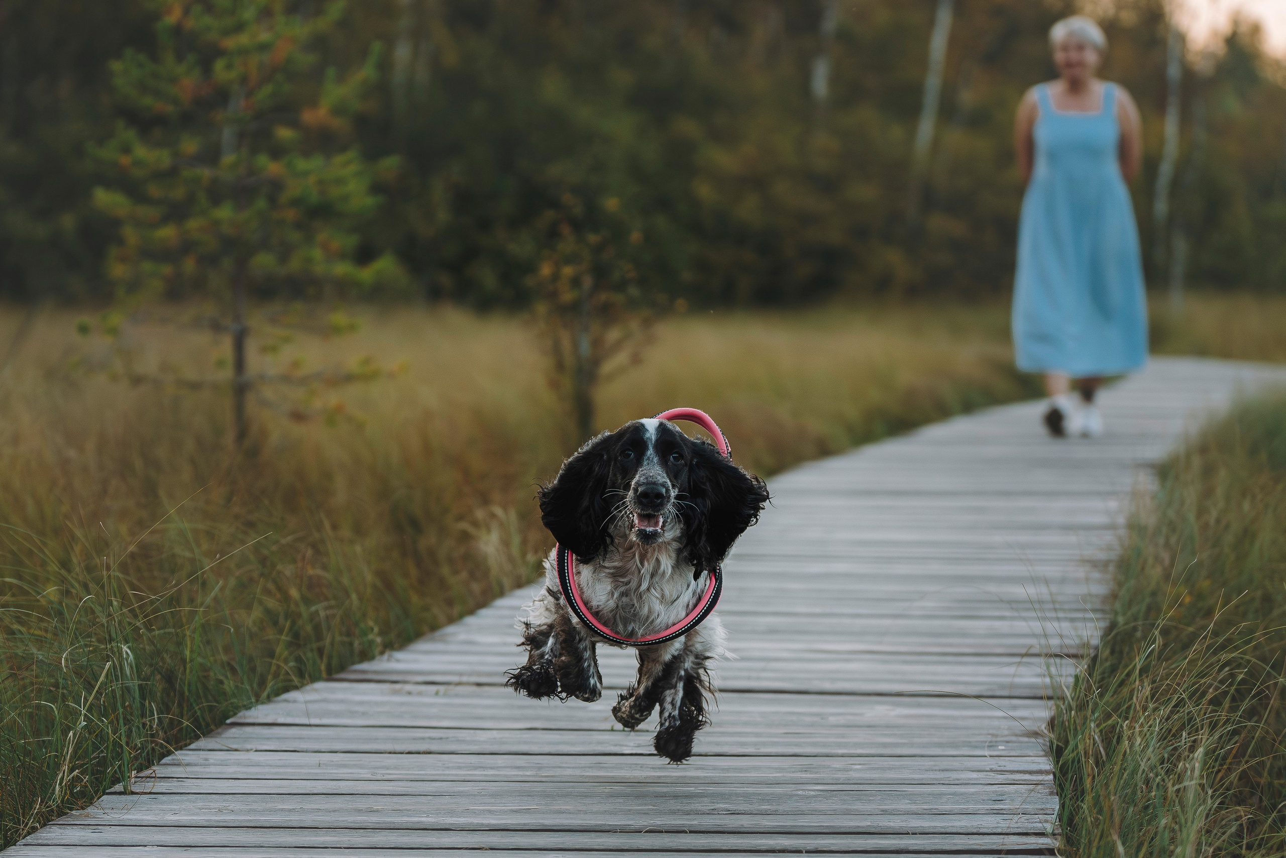 Аня и Тея. Фотограф анималист в Спб недорого Олеся Майорова