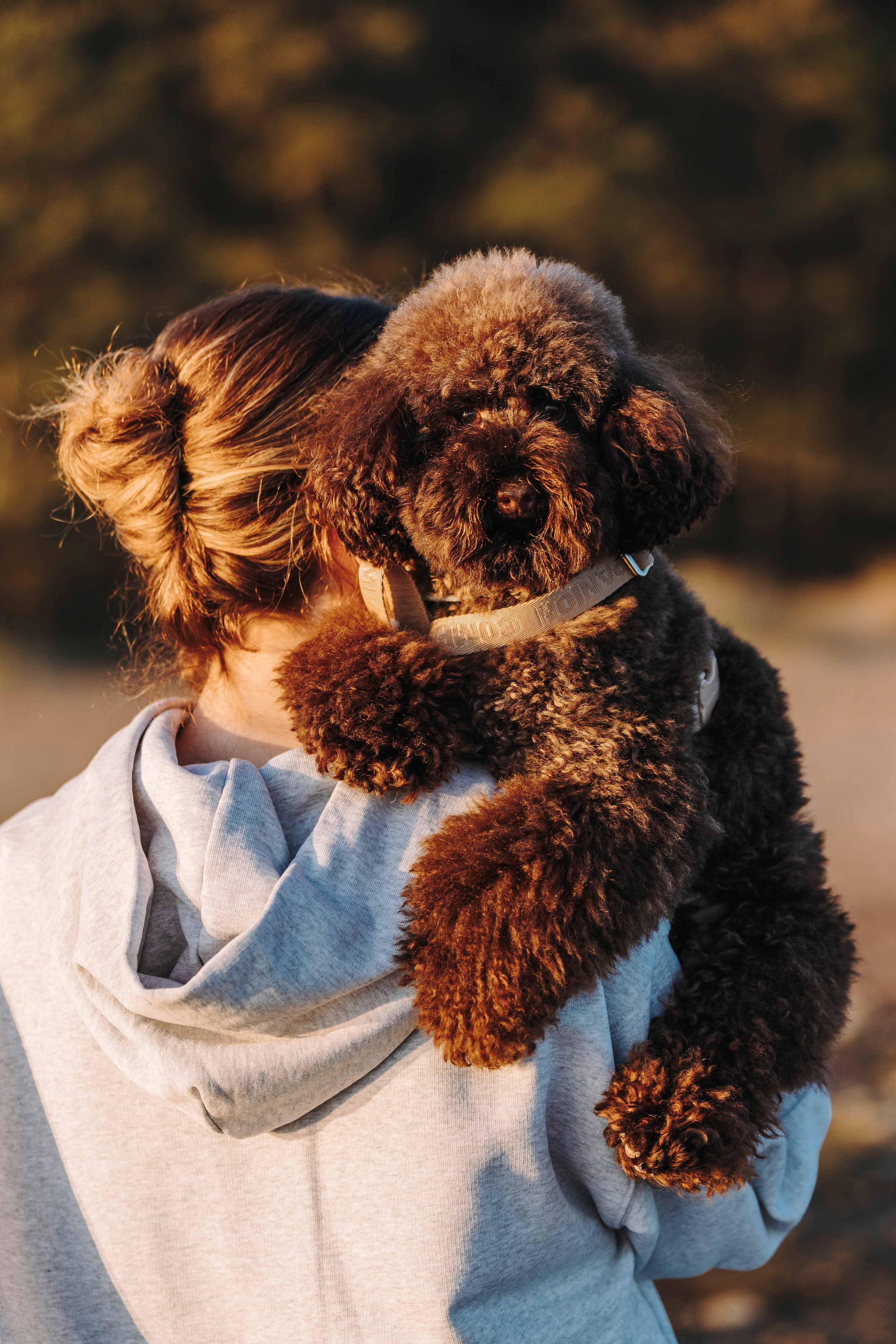 Фотосессия девушки с пуделем на пляже на закате. Фотограф анималист в Спб недорого Олеся Майорова