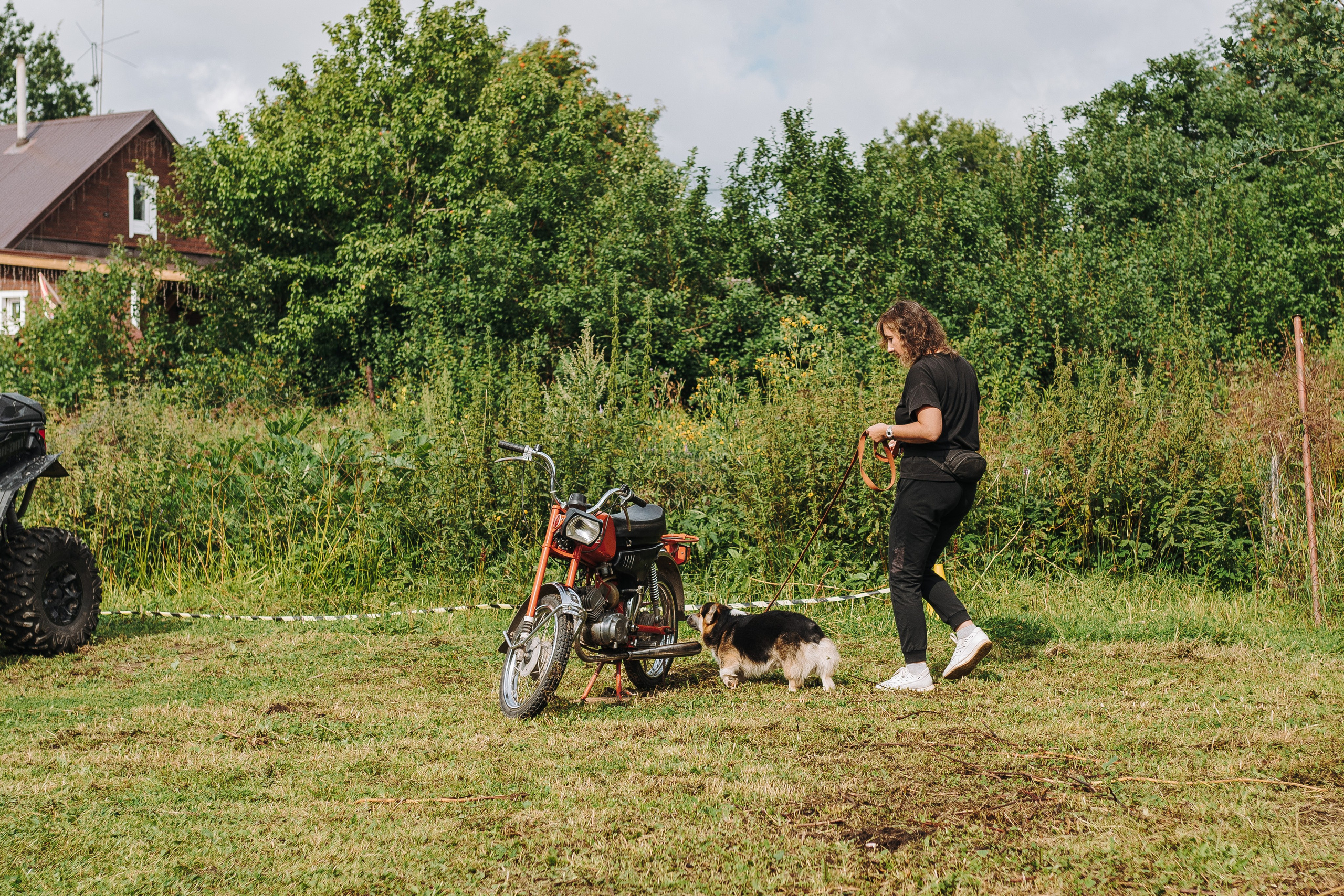 Соревнования по ноузворку в Новожилово. Фотограф анималист в Спб недорого Олеся Майорова