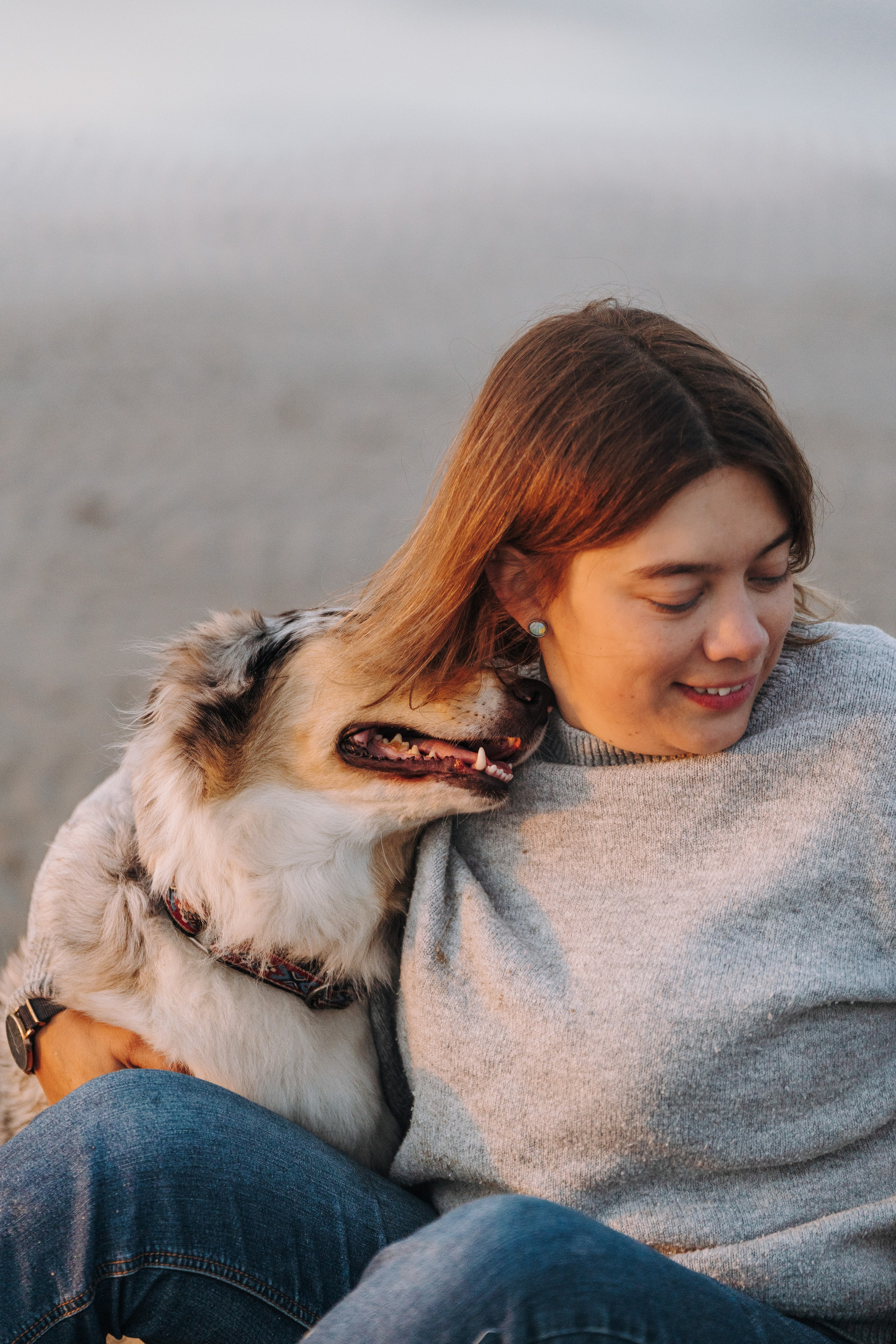 Фотограф анималист в Спб. Фотограф анималист в Спб недорого Олеся Майорова