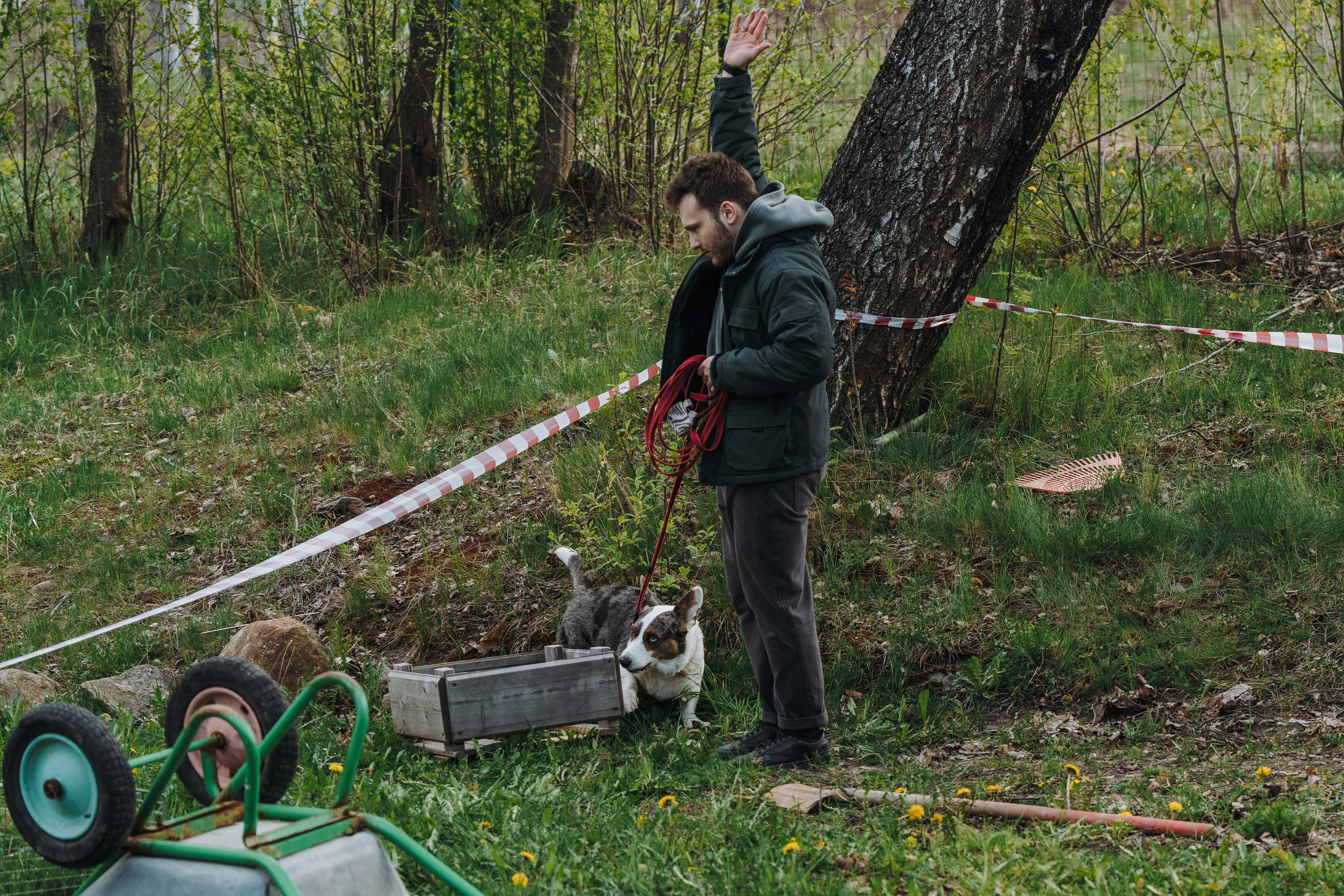 Соревнования по ноузворку в Лосево. Фотограф анималист в Спб недорого Олеся Майорова