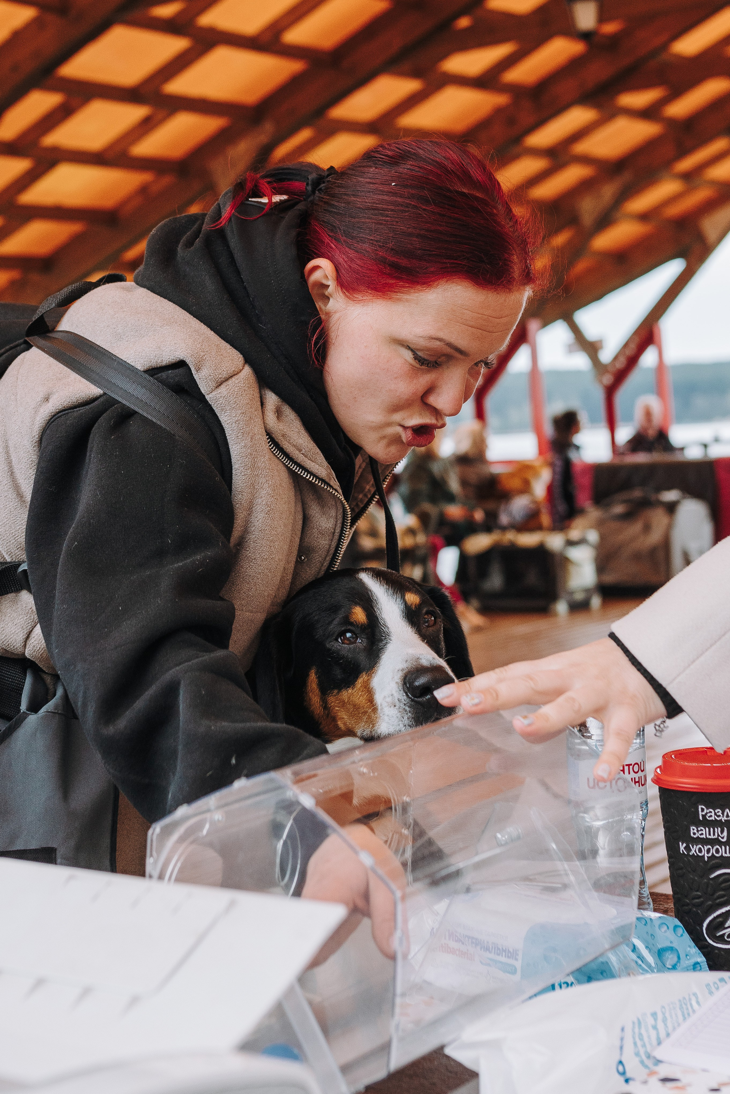 Соревнования по ноузворку в Лосево. Фотограф анималист в Спб недорого Олеся Майорова