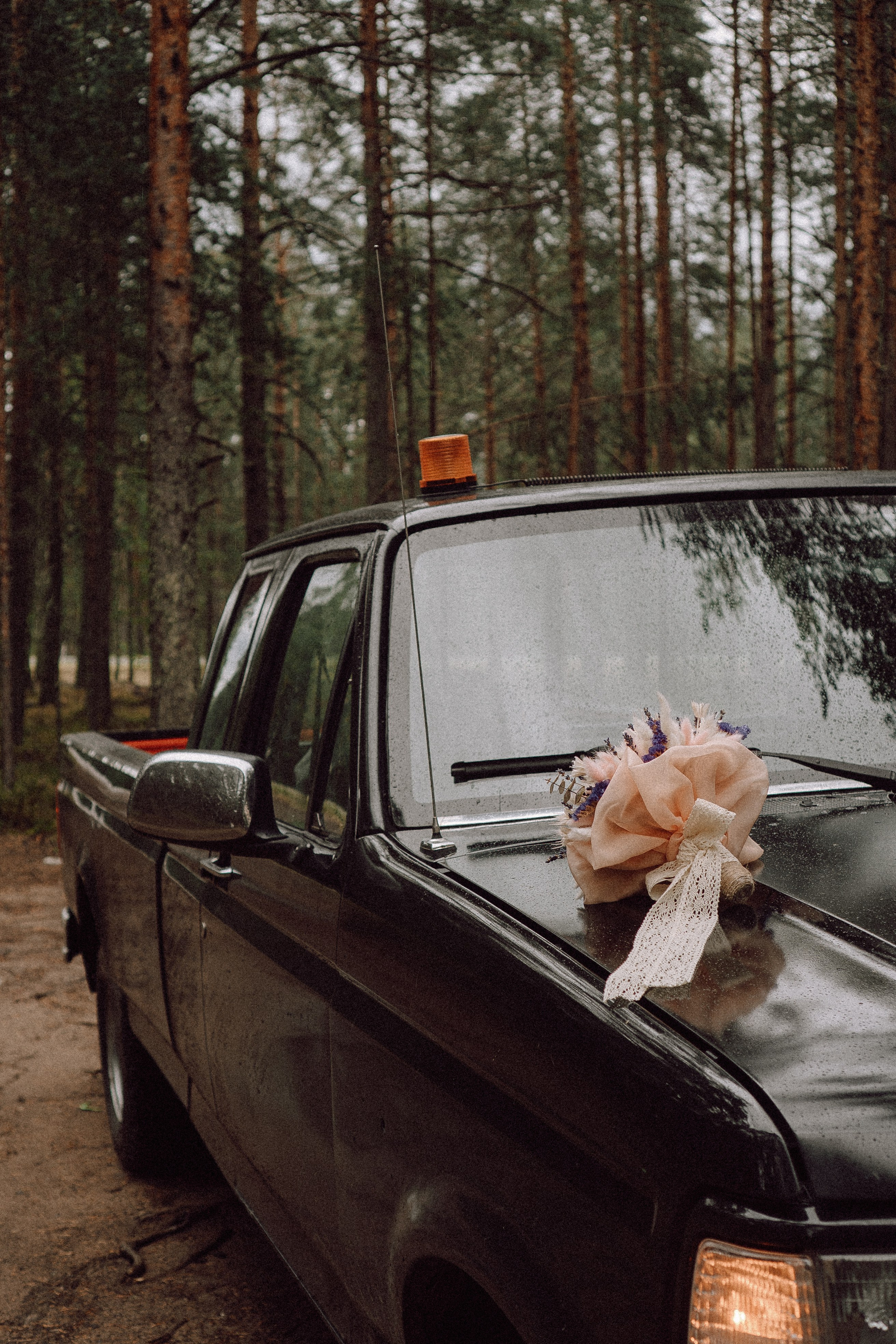СВАДЕБНАЯ ФОТОСЕССИИЯ ПАРЫ В ГОРОДЕ ПРИОЗЕРСК В СОСНОВОМ ЛЕСУ И С ПИКАПОМ. Профессиональный фотограф, Санкт-Петербург — Виктория Богомолова