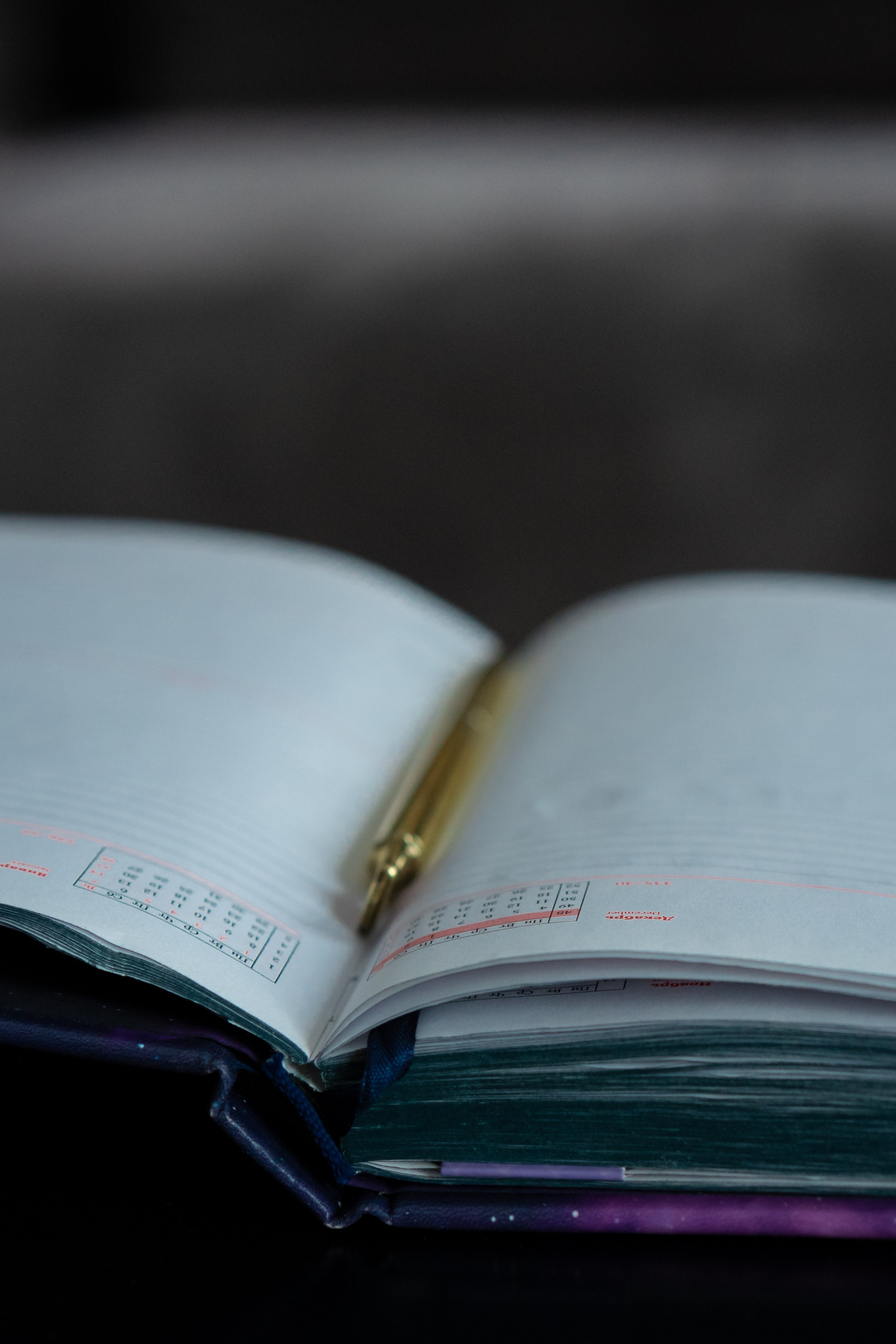 Анна Риелтор. Фотограф Ольга Игорева