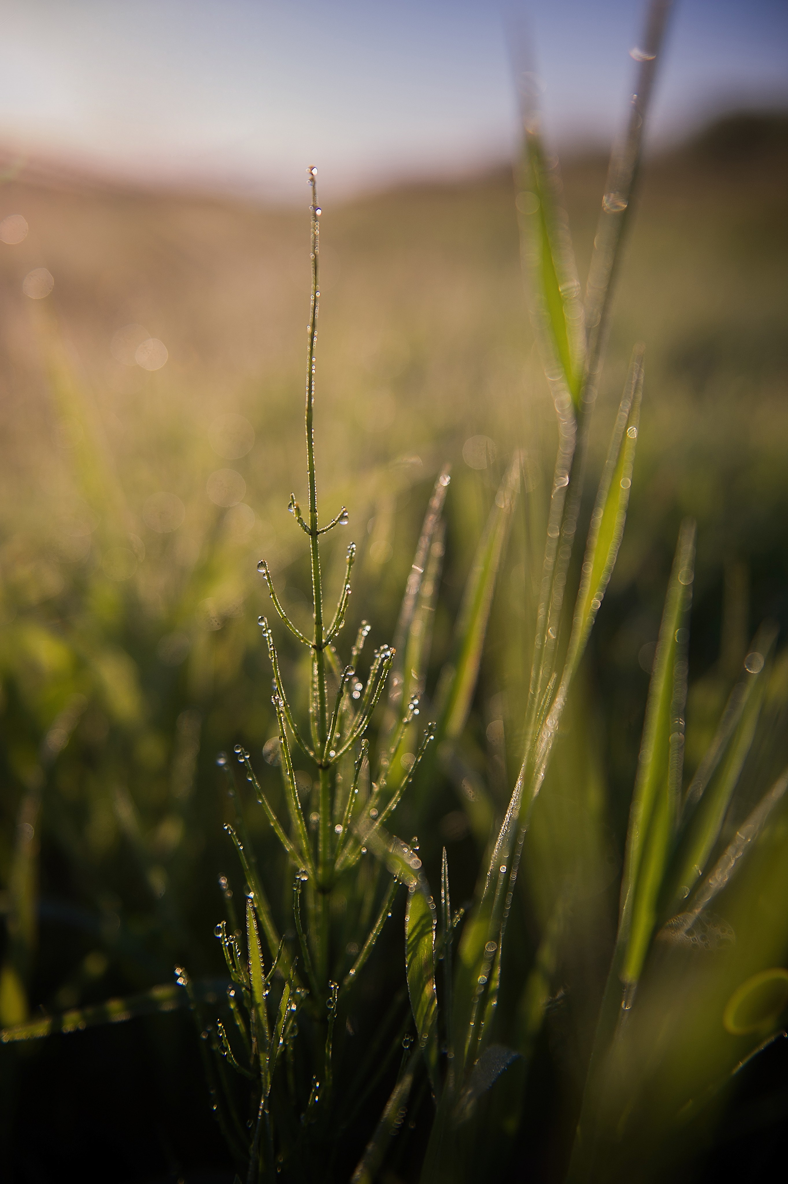 ФОТОПРОГУЛКИ. Фотограф Вера Демидкова