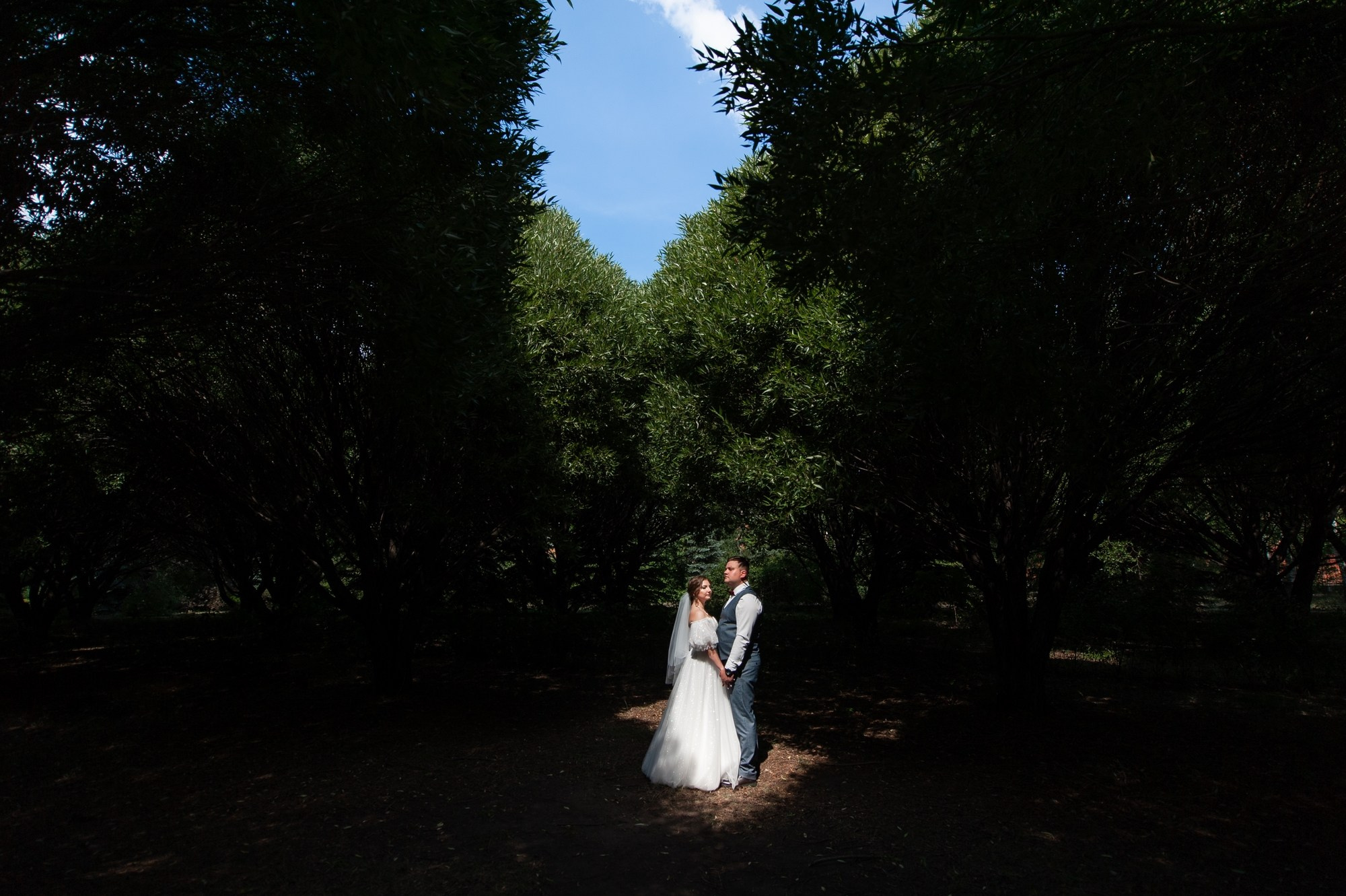 ЗАГС, парк и две студии. Свадебный и семейный фотограф в Омске Мормулев Михаил