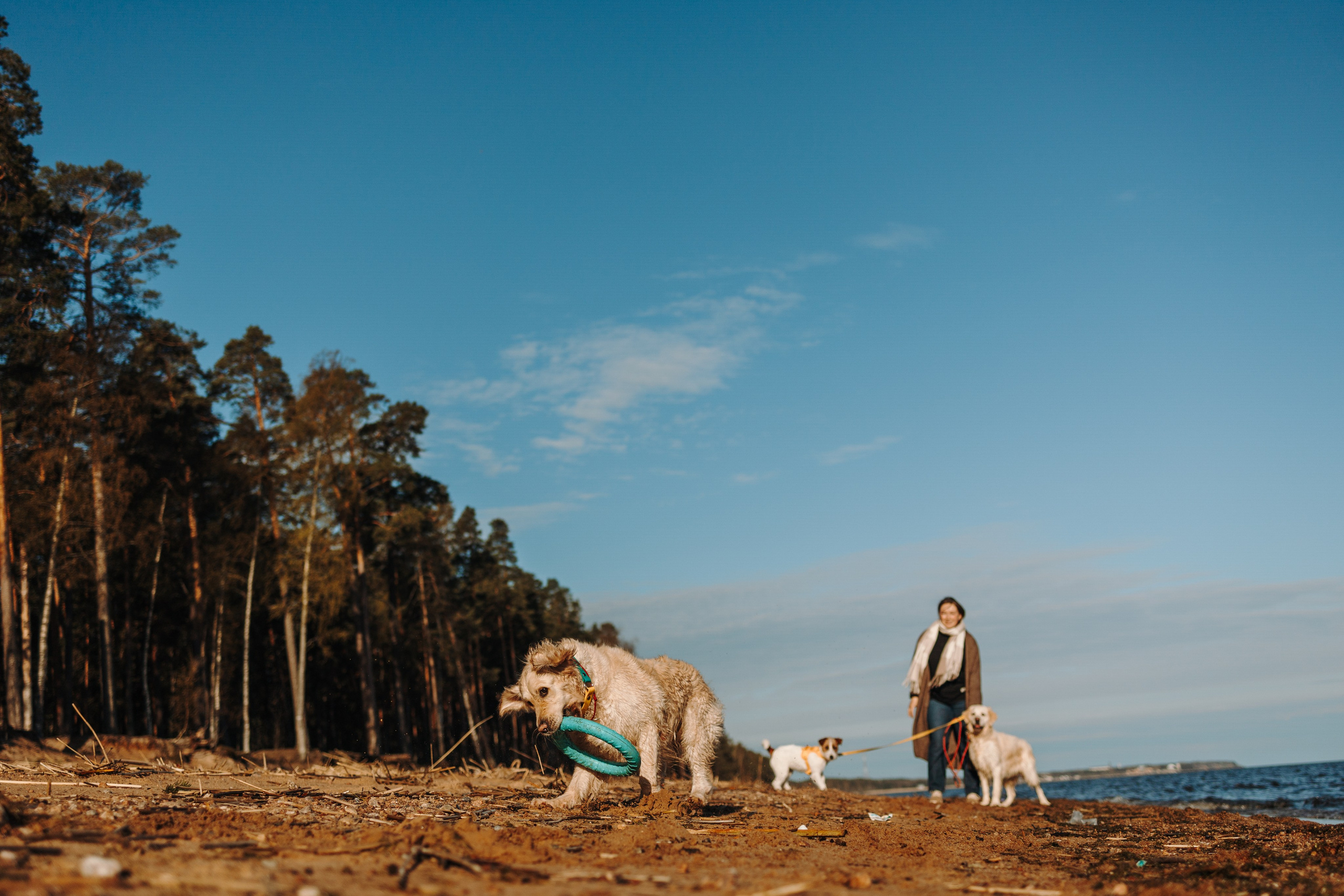 Катя и ее девочки. Фотограф — Анималист | Санкт-Петербург