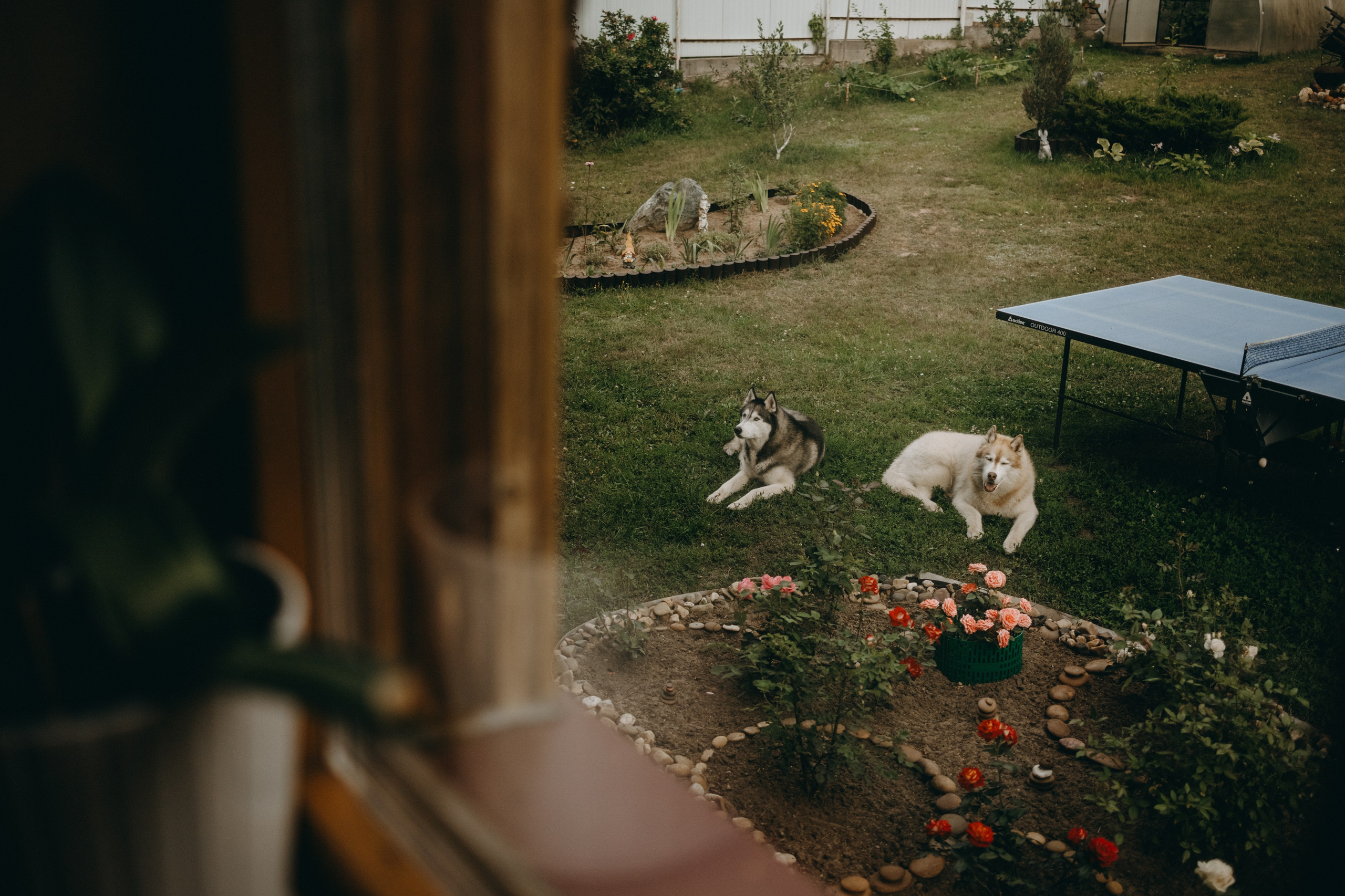 Дом у реки. Фотограф — Анималист | Санкт-Петербург