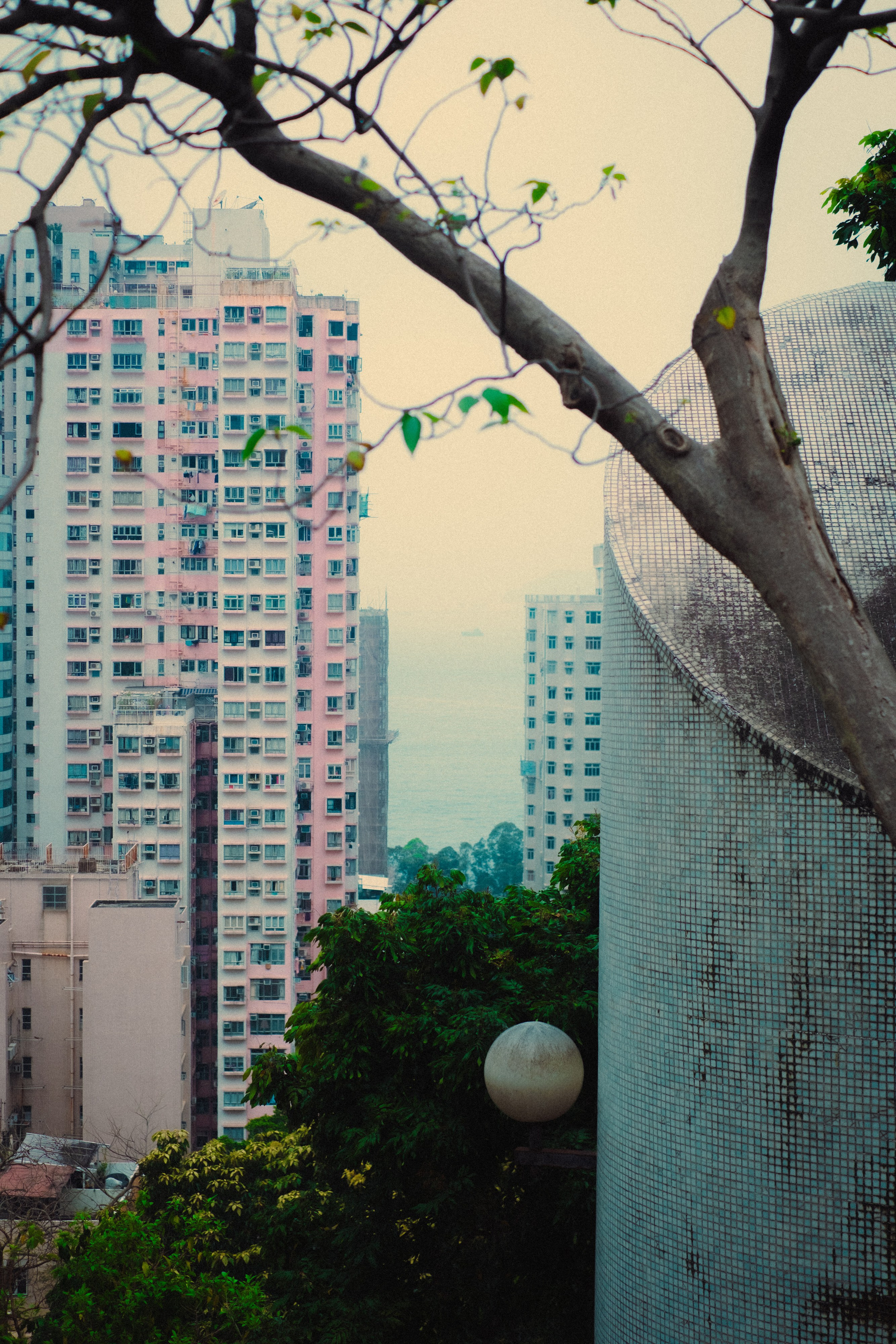 HongKong. Богдан Голубков — фотограф (notbogdang)