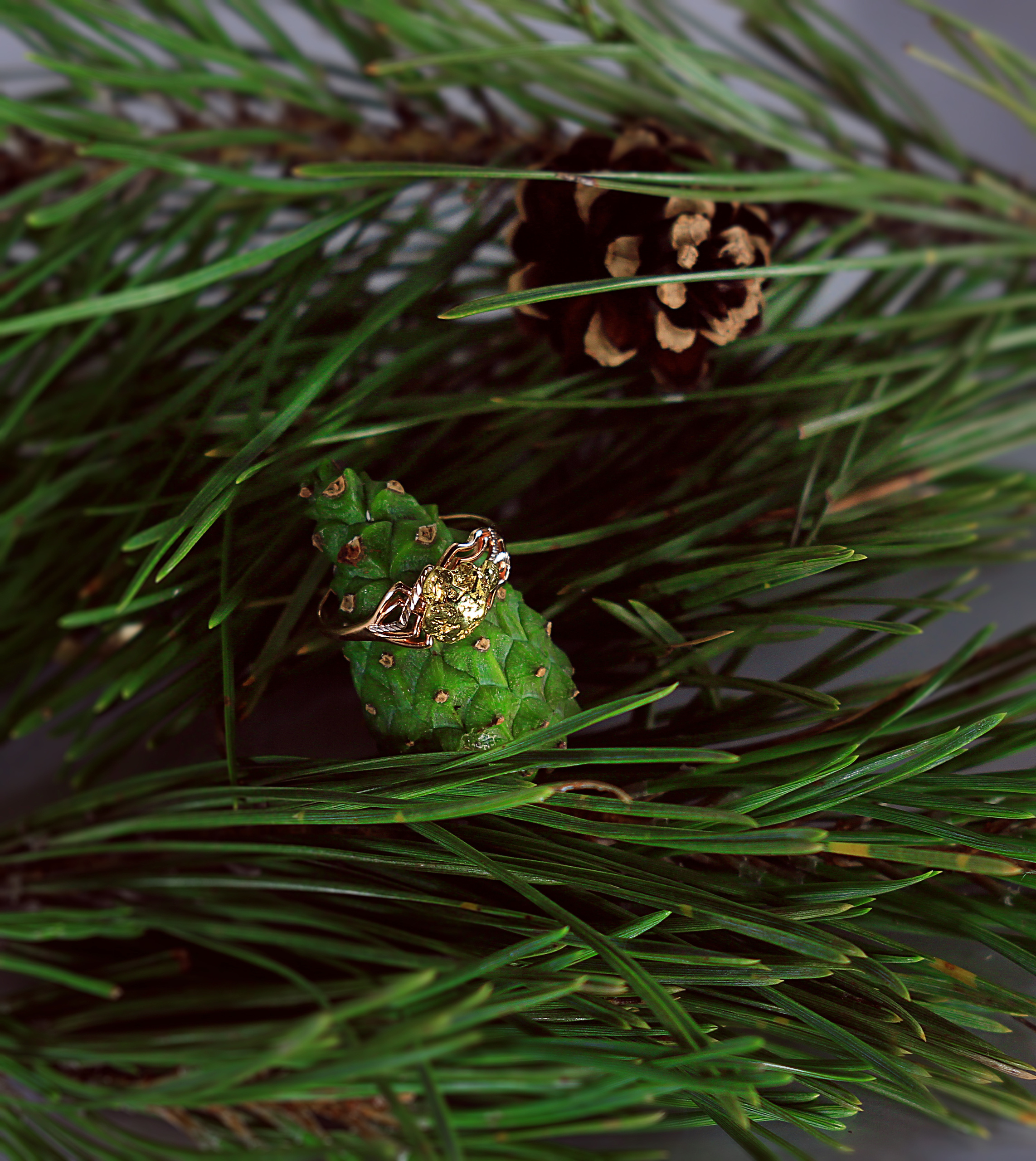 Рекламная фотография. Фотограф Тамара Нижельская Воронеж