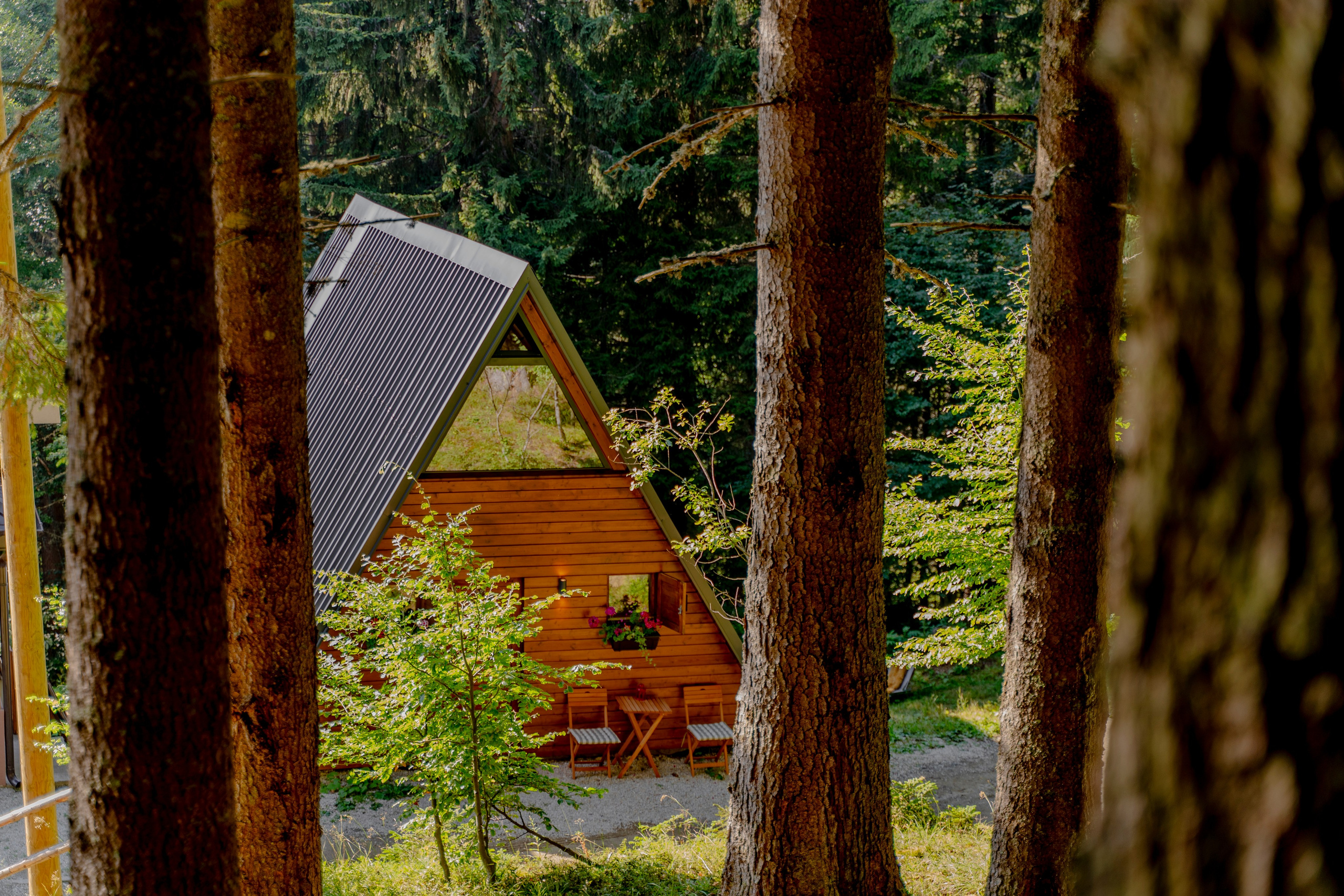 Viktorija Chalet. Photographer Liana Sudets Serbia Kopaonik Brzece Brus