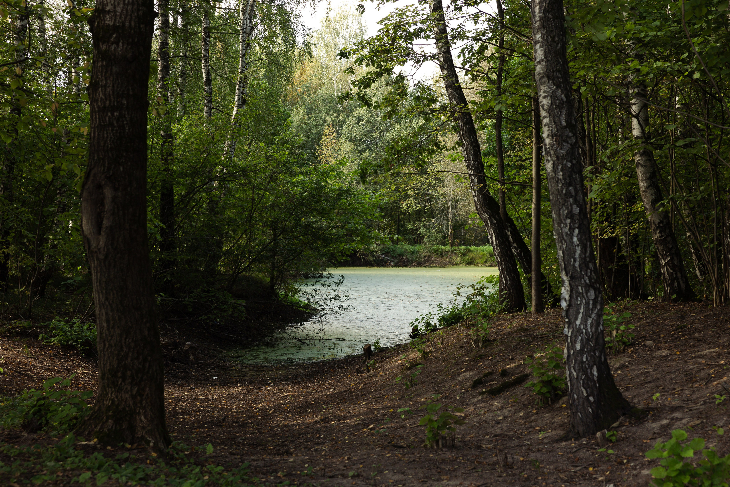 Кинопарк «Москино». Лисенкова Алиса — Фотограф, видеомейкер. Москва