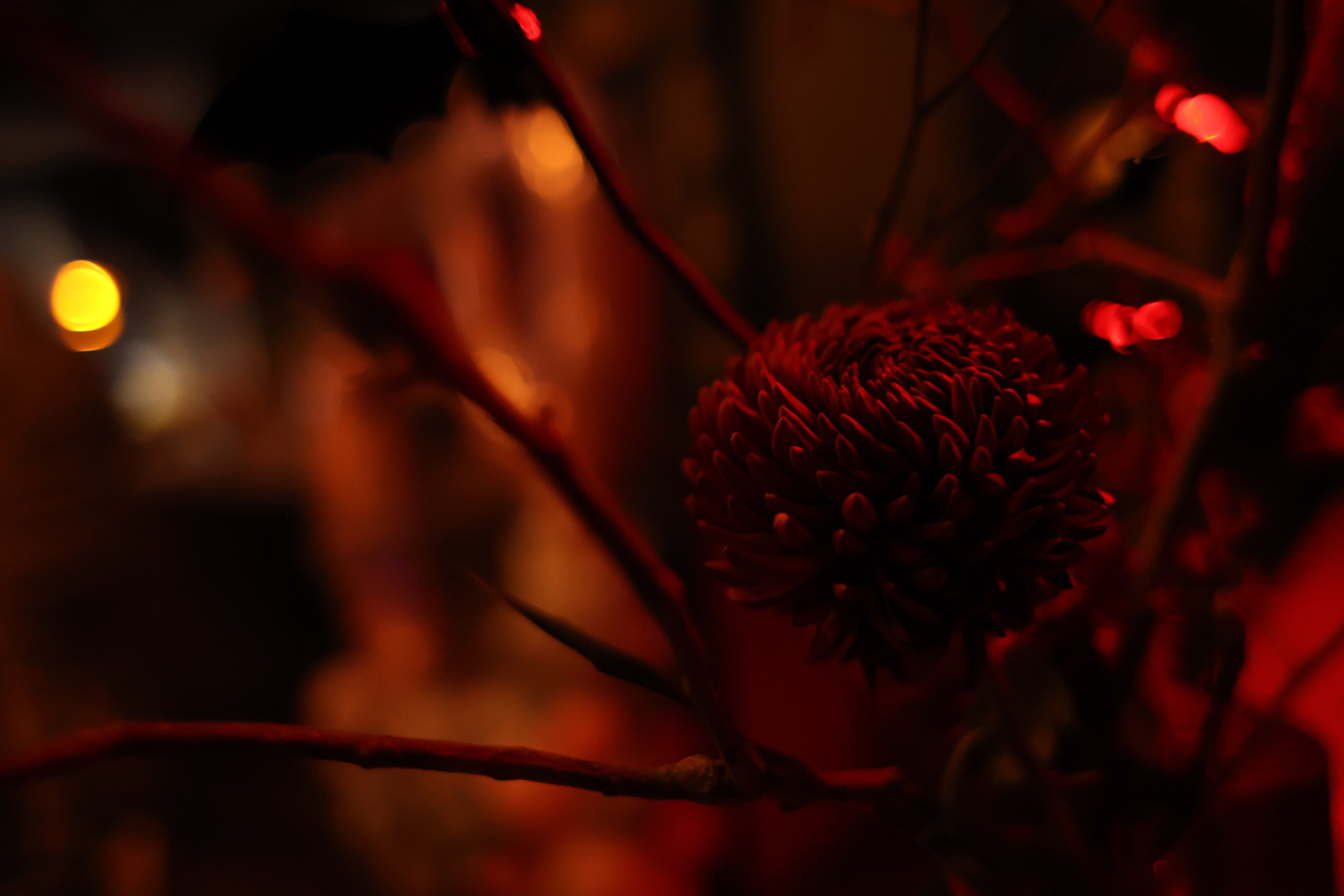 Crualle. Главная