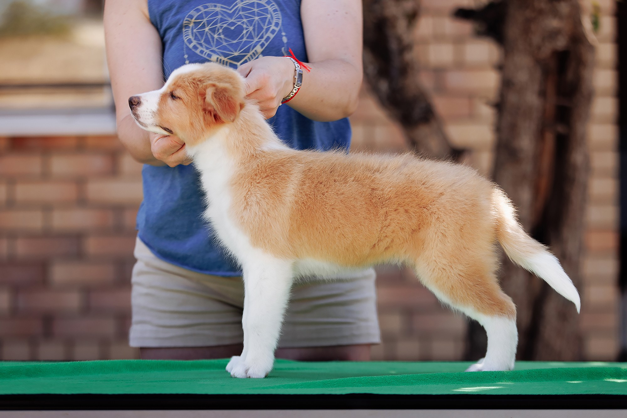 Трава у дома. О нас