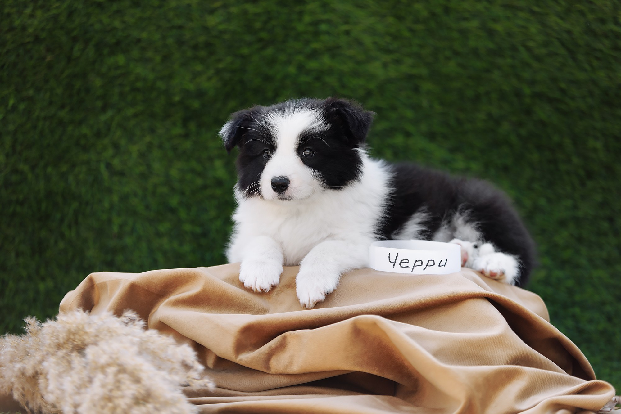 Новый лист. О нас