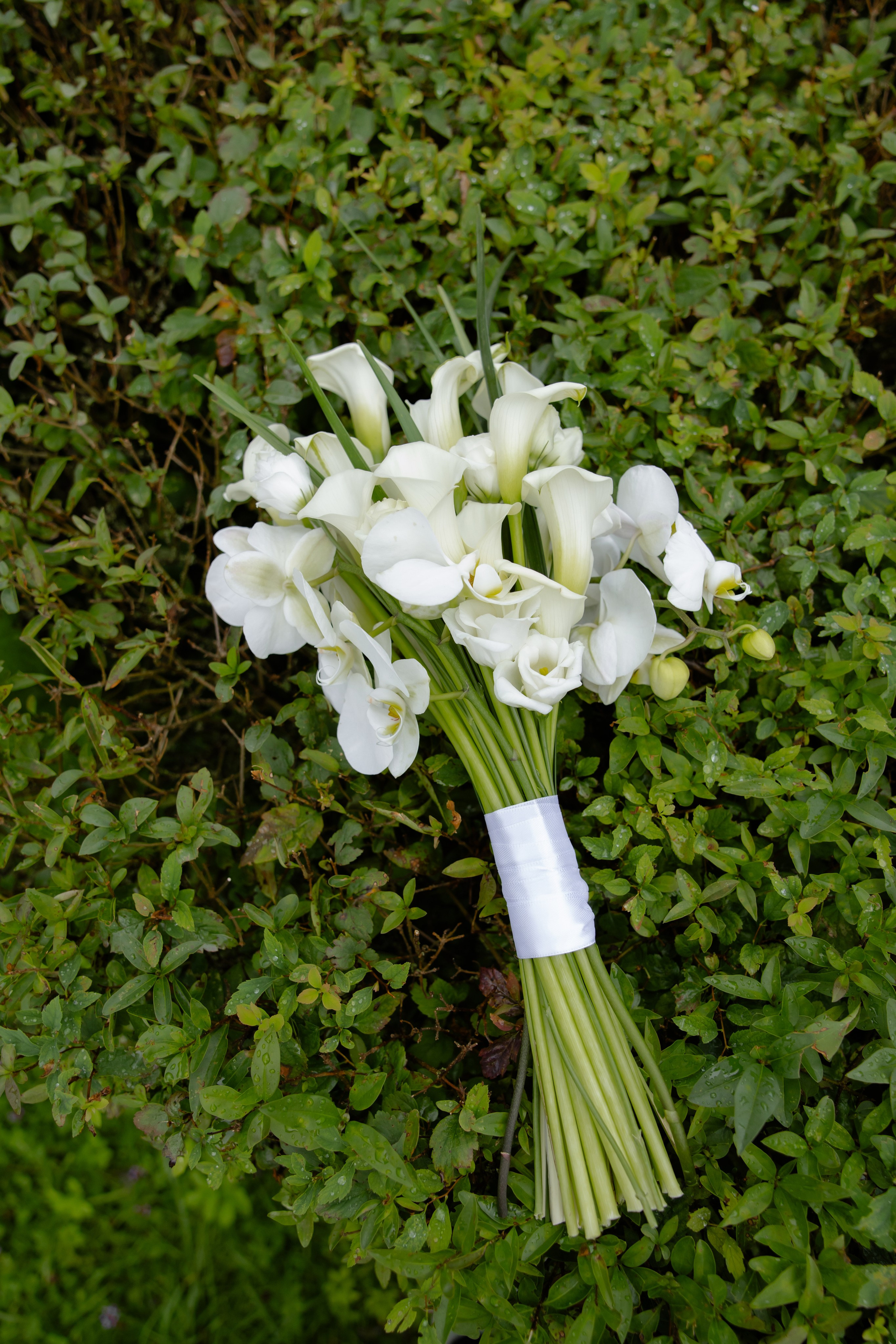 Илья и Евгения. Свадебный фотограф Анна Бабахина