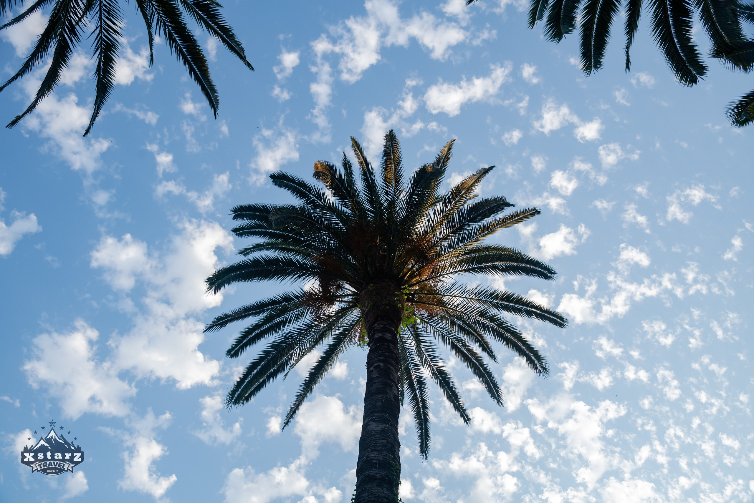 Тур в Абхазию. Фотограф Галина Нестерова