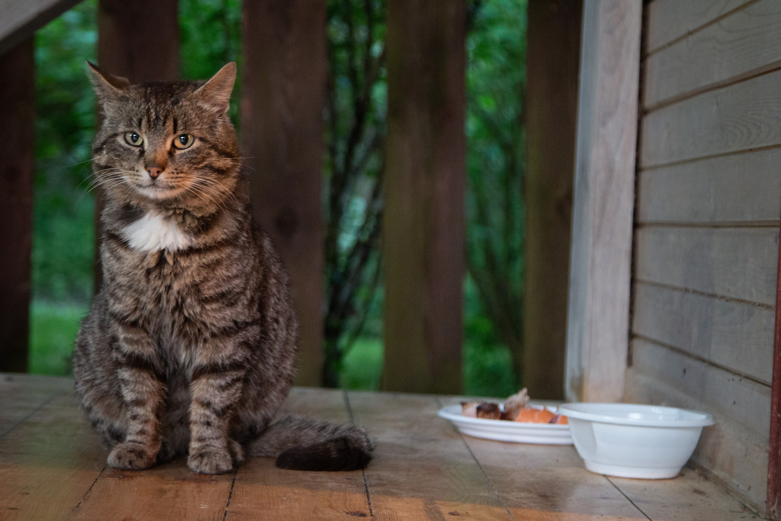Жанровый портрет. Фотограф Лагутин Анатолий